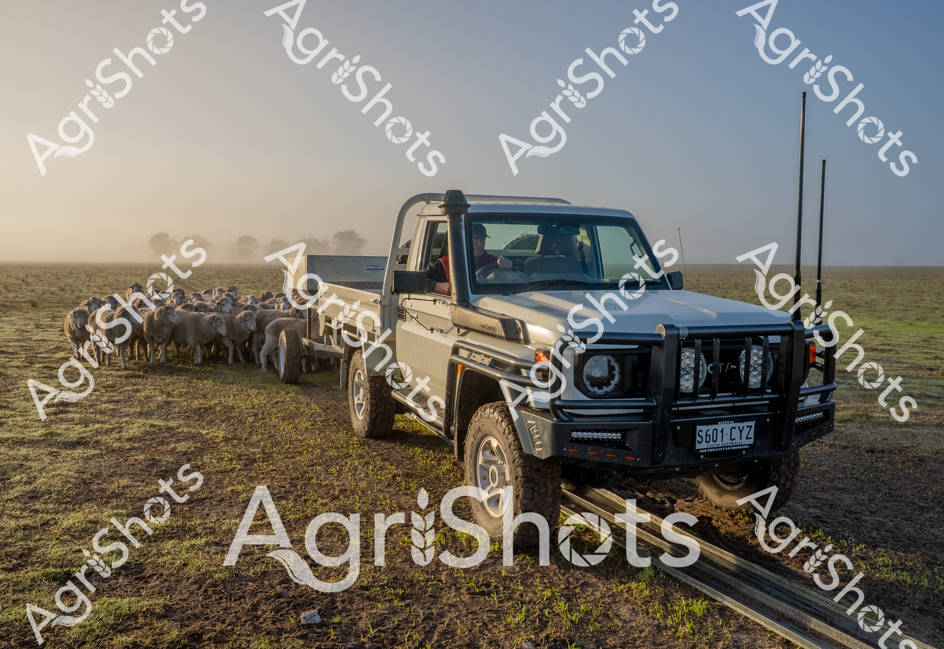 ALMABIN_5450073275_2800739_PNG_wp115515.png
