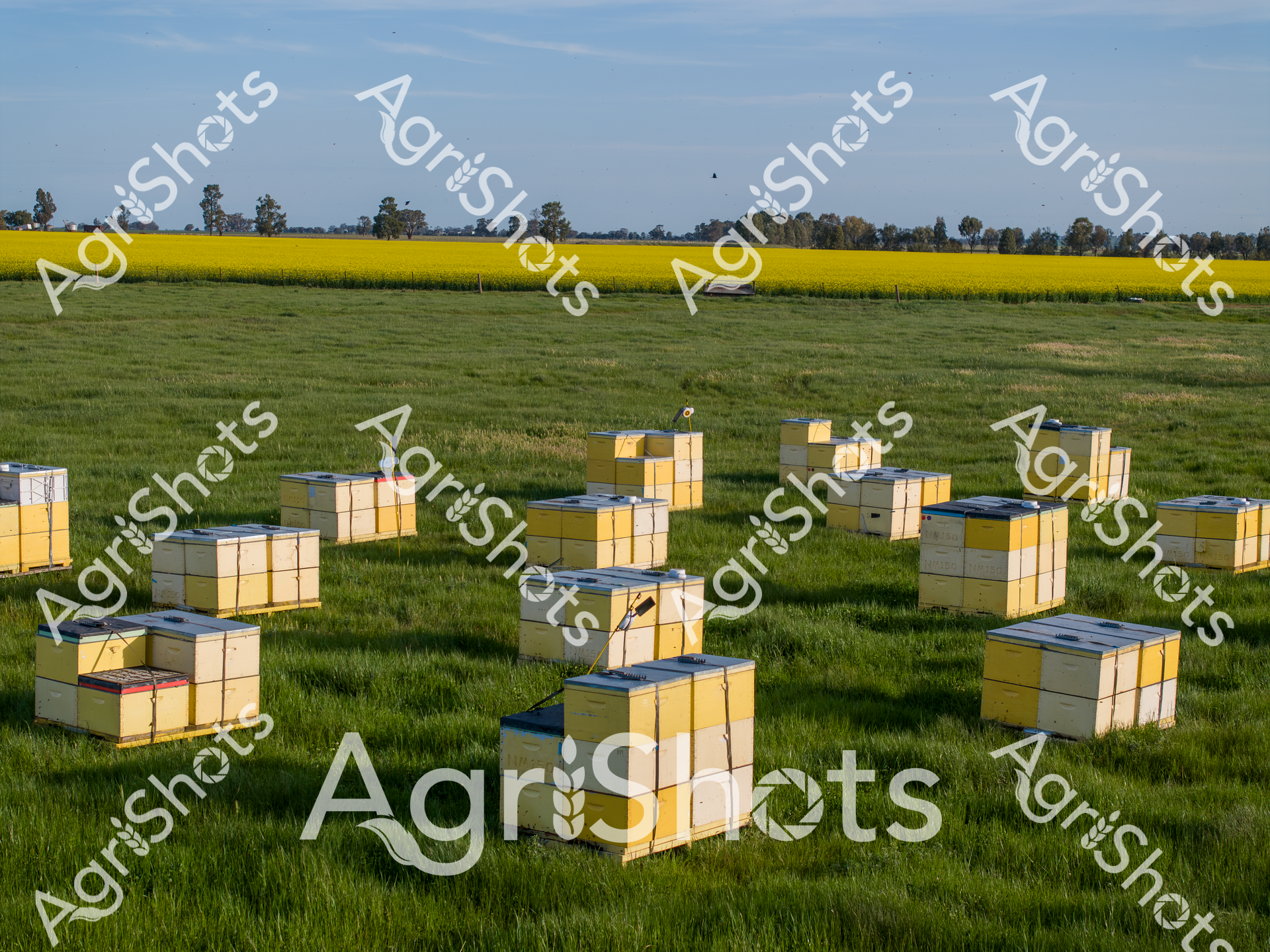 ALMABIN_5477644832_5782963-scaled-watermarked-image-1.png