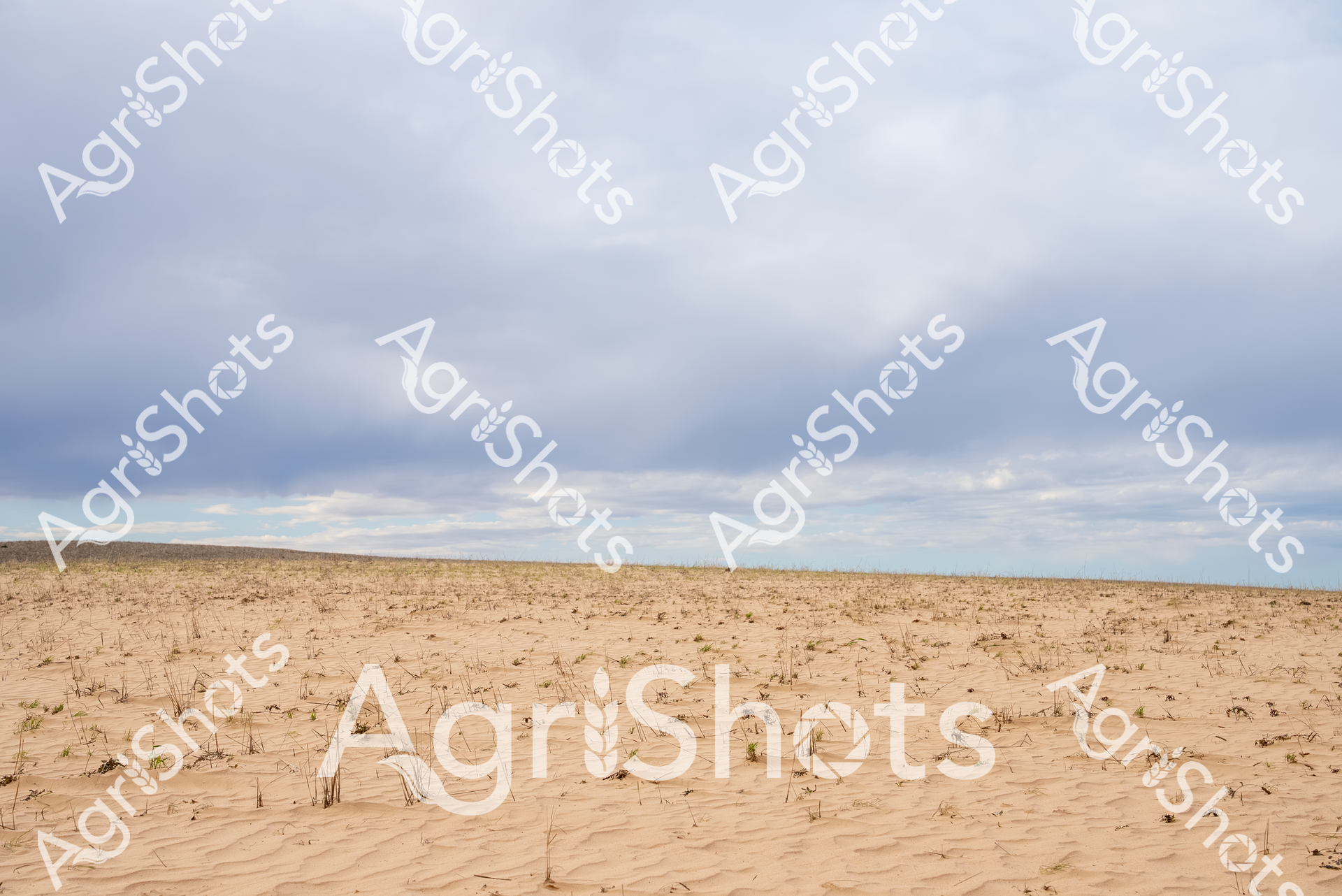 ALMABIN_5615934198_8148305-scaled-watermarked-1.png