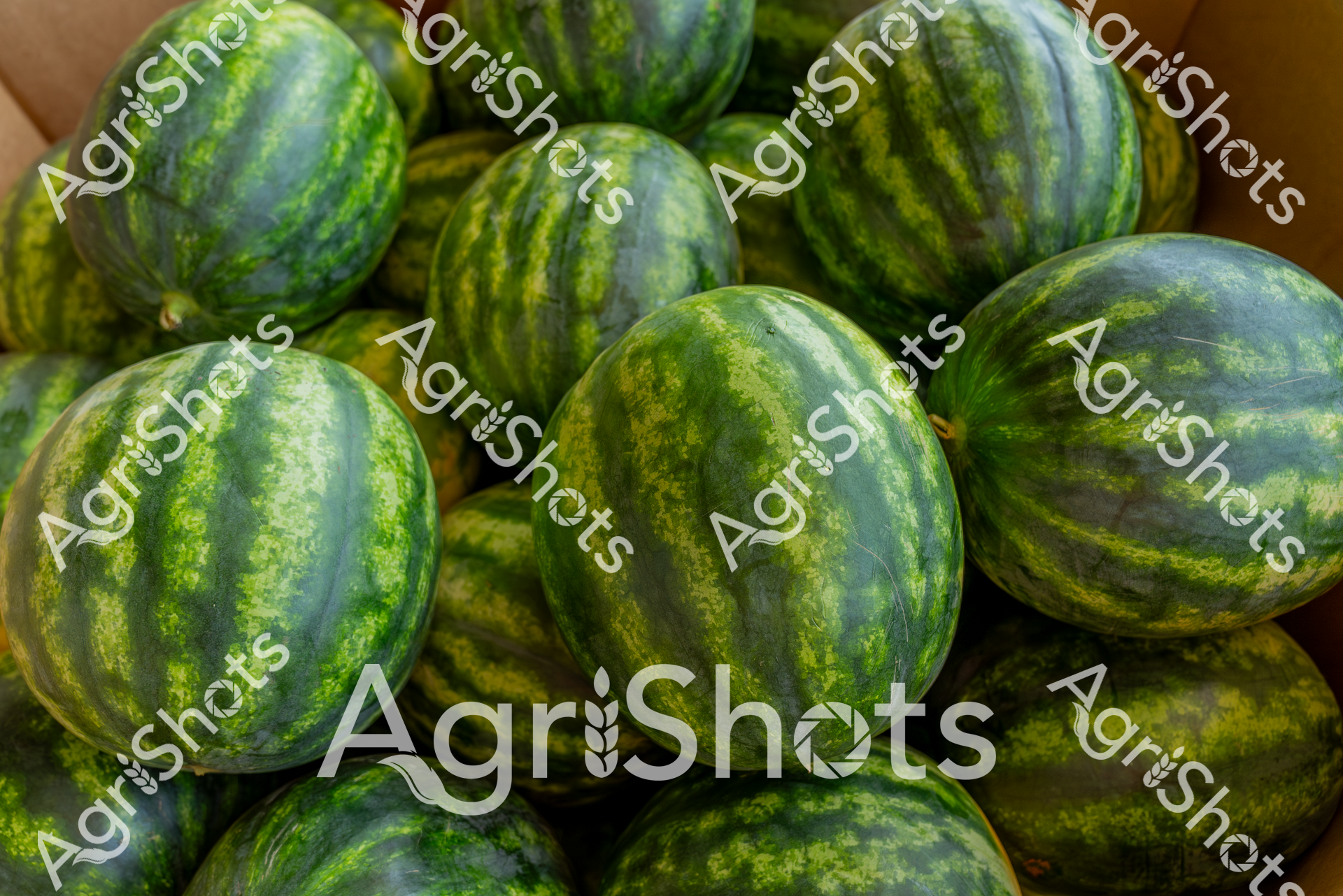 ALMABIN_5683445087_2186717-scaled-watermarked-image-1.png