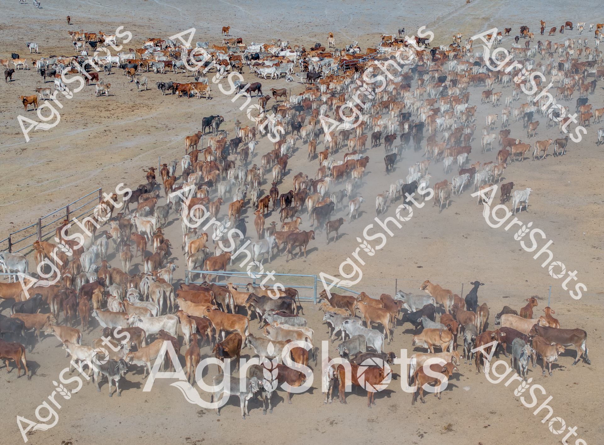 ALMABIN_5690715884_5144448-scaled-watermarked-image-1.png
