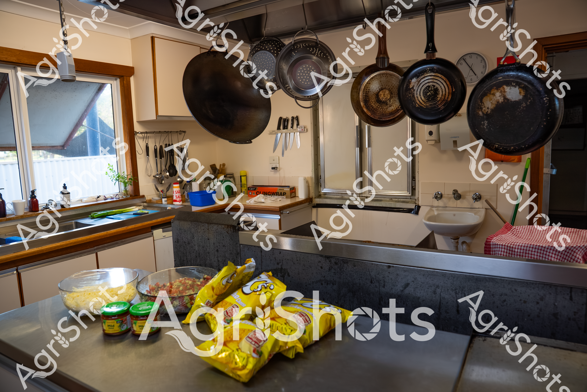 ALMABIN_5741883861_9315740-scaled-watermarked-image-1.png
