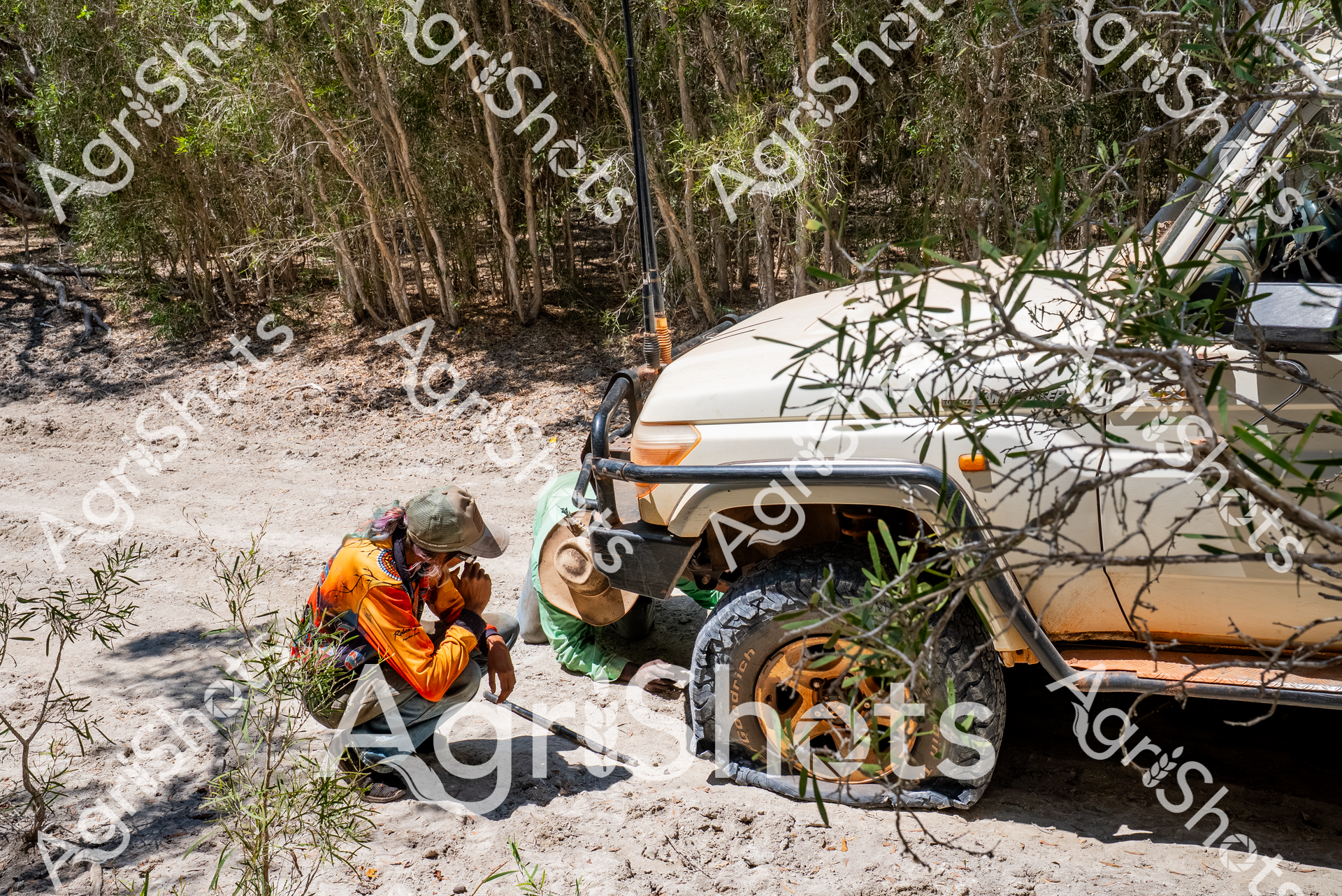 ALMABIN_5857970326_4073028-scaled-watermarked-image-1.png