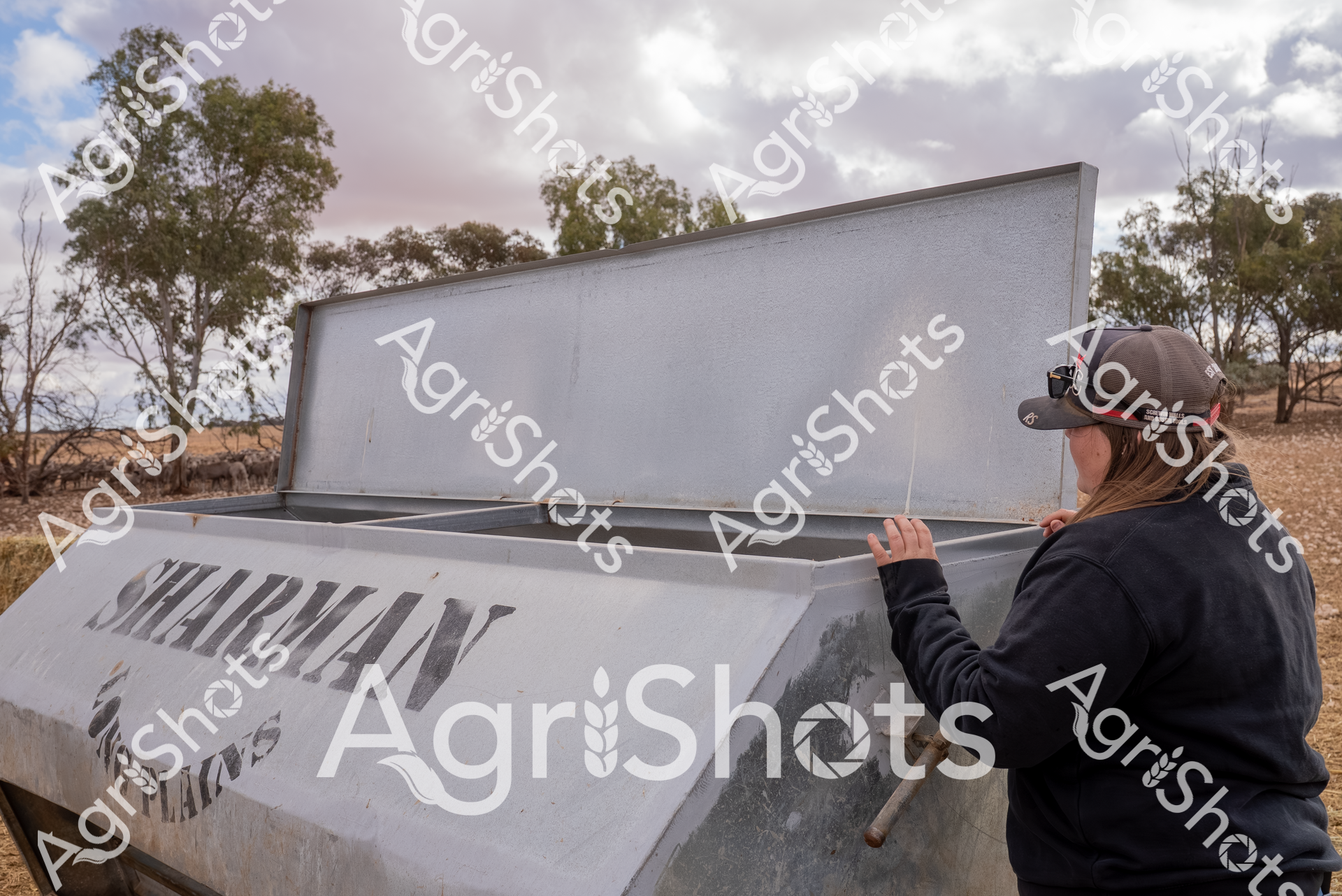 A farmer adjusts a large metal feed bin against the stark backdrop of a drought-affected Riverland landscape in South Australia. The gleaming silvery Simmilan feeder stands prominently in a dry, ochre-colored paddock, surrounded by sparse eucalyptus trees with muted green foliage. Wearing a dark jacket and baseball cap, the farmer carefully opens the robust feed container, preparing to distribute crucial nutrition for sheep surviving in challenging environmental conditions. Cloudy winter skies cast a subdued light across the barren landscape, emphasizing the resilience required in agricultural communities facing prolonged dry seasons. The metallic feeder, a critical piece of agricultural infrastructure, represents both the technological adaptation and human determination necessary to sustain livestock in harsh Australian rural environments. This image captures the raw essence of agricultural survival - a moment of practical care amid the unforgiving rhythms of drought and pastoral life.