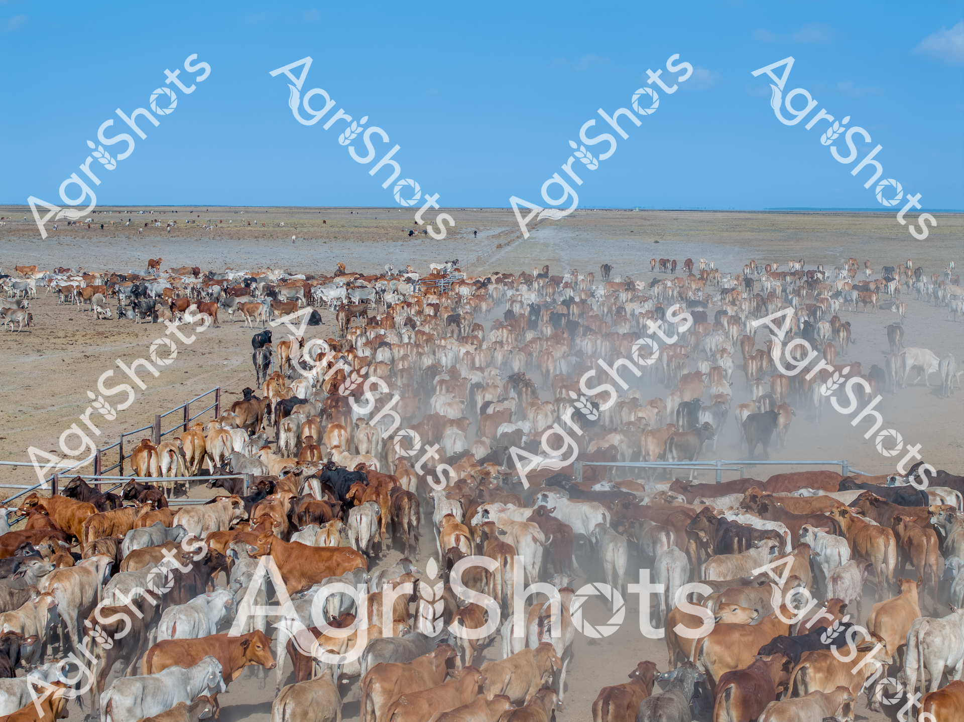 ALMABIN_6324474191_8968671-scaled-watermarked-image-1.png