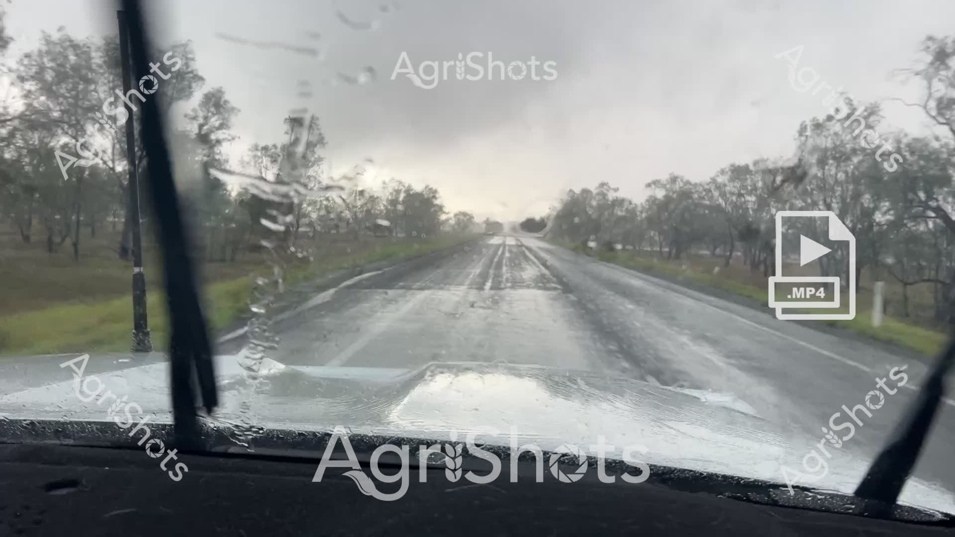 A dramatic rural driving scene captures the intensity of an approaching storm across the Riverina region of New South Wales. Rain cascades down the windscreen, creating a blurred landscape of wet bitumen and grey-green trees stretching toward a misty horizon. Windscreen wipers sweep rhythmically, cutting through the water droplets and providing momentary clarity to the sodden rural road. The scene epitomizes the unpredictable weather conditions farmers and rural travelers frequently encounter, with the road appearing slick and reflective under the heavy rainfall. Bare trees line both sides of the highway, their silhouettes muted and indistinct in the grey atmospheric conditions. The image conveys a sense of isolation and the raw, unfiltered experience of driving through an Australian rural landscape during an intense weather event.
