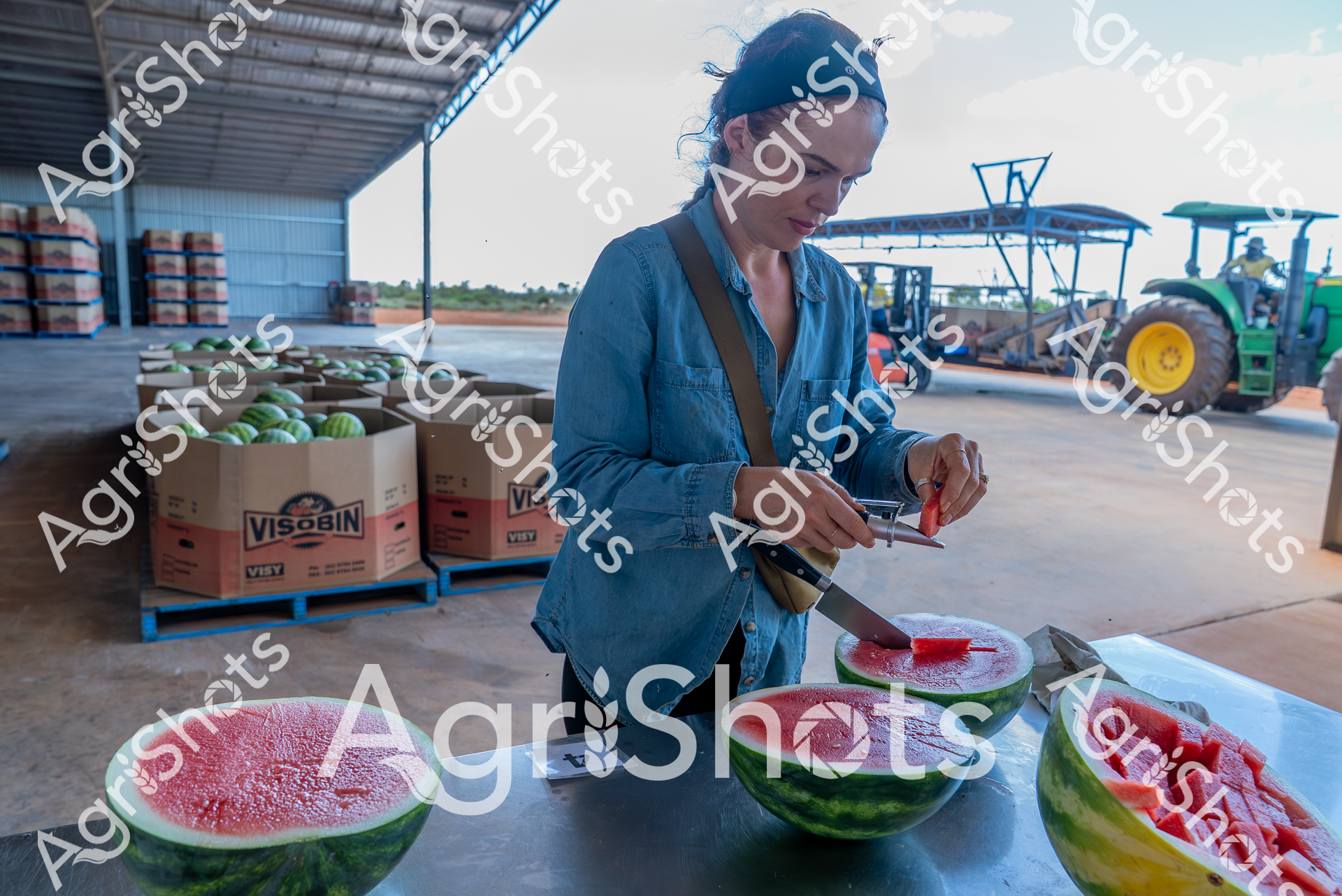 ALMABIN_6378079222_9897576-scaled-watermarked-image-1.png