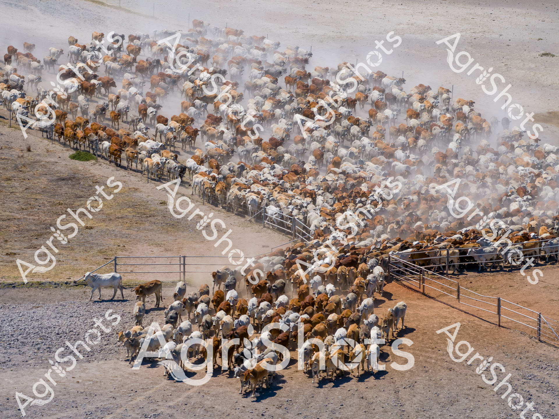 ALMABIN_6441139962_8297437-scaled-watermarked-image-1.png