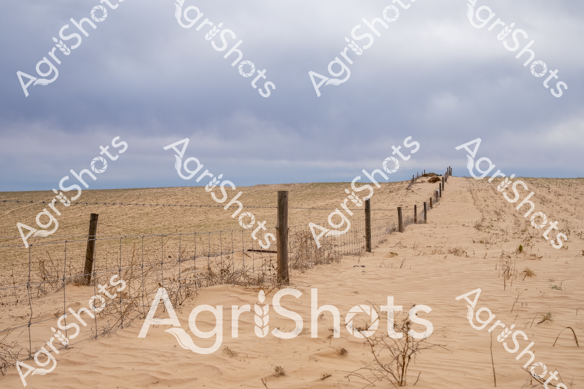 ALMABIN_6513093671_6003557-scaled-watermarked-1.png
