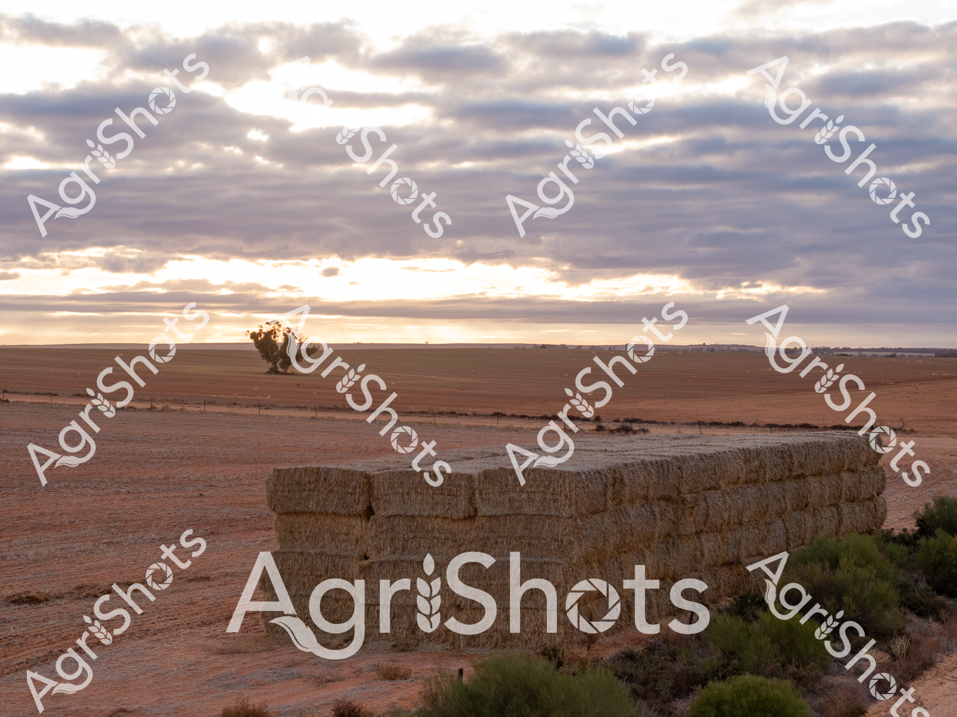 ALMABIN_6539520837_8726253-scaled-watermarked-1.png