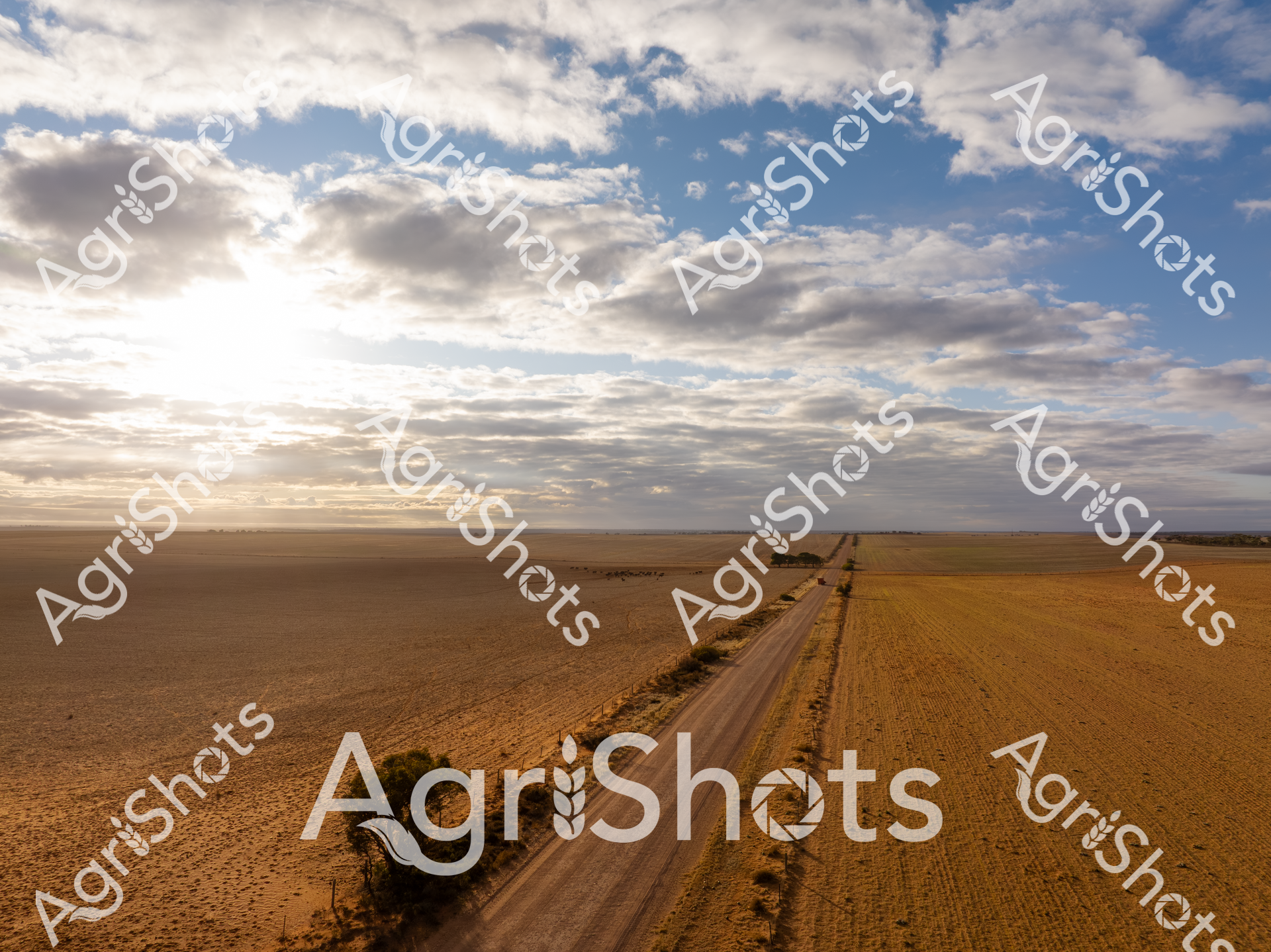 ALMABIN_6574505026_3523871-scaled-watermarked-1.png