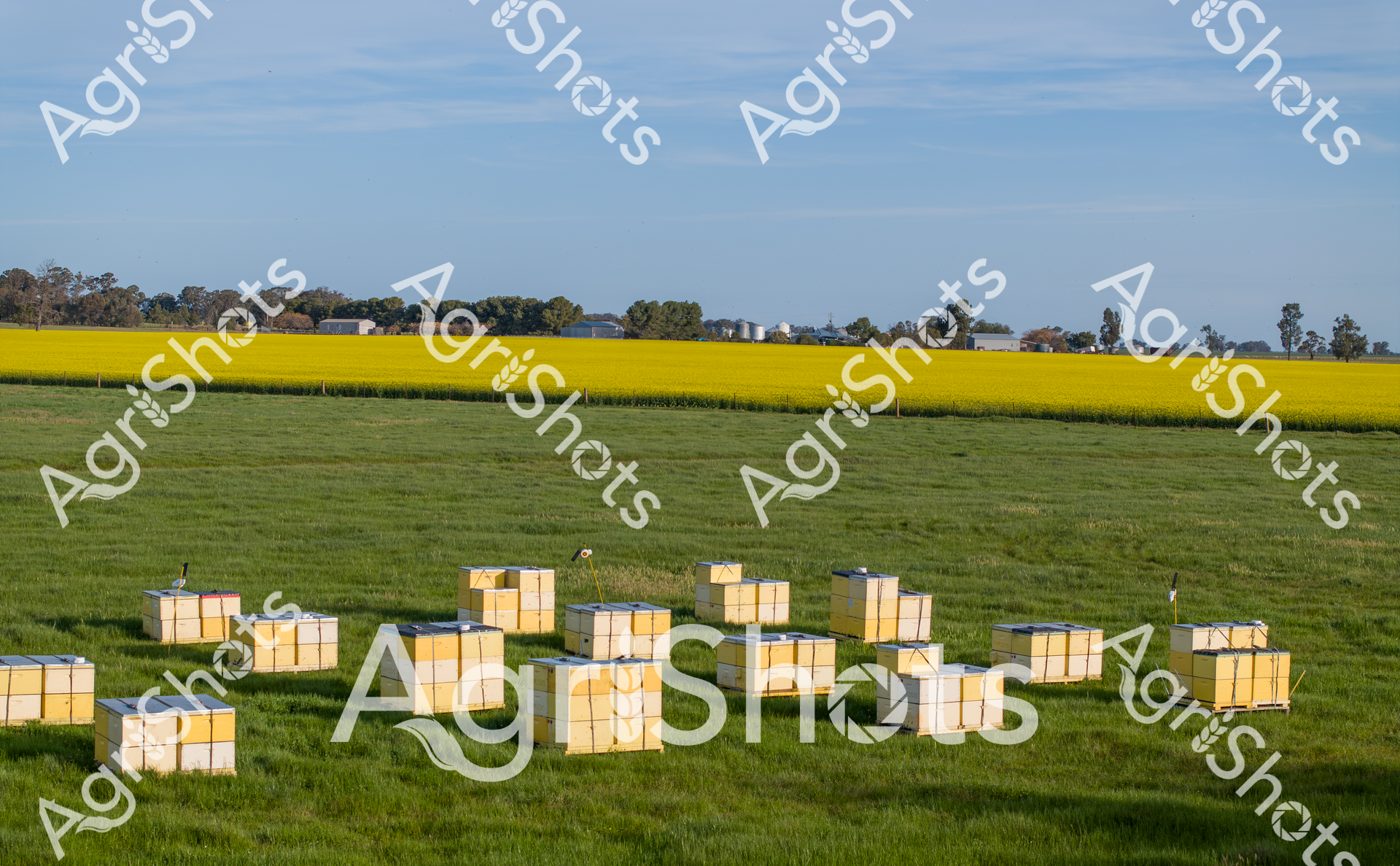 ALMABIN_6698981969_5432980-scaled-watermarked-image-1.png