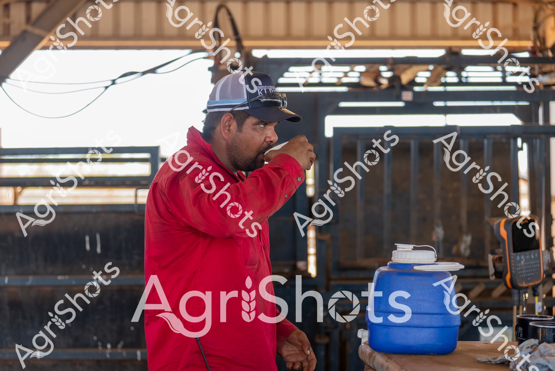 ALMABIN_6996673993_0949616-scaled-watermarked-image-1.png