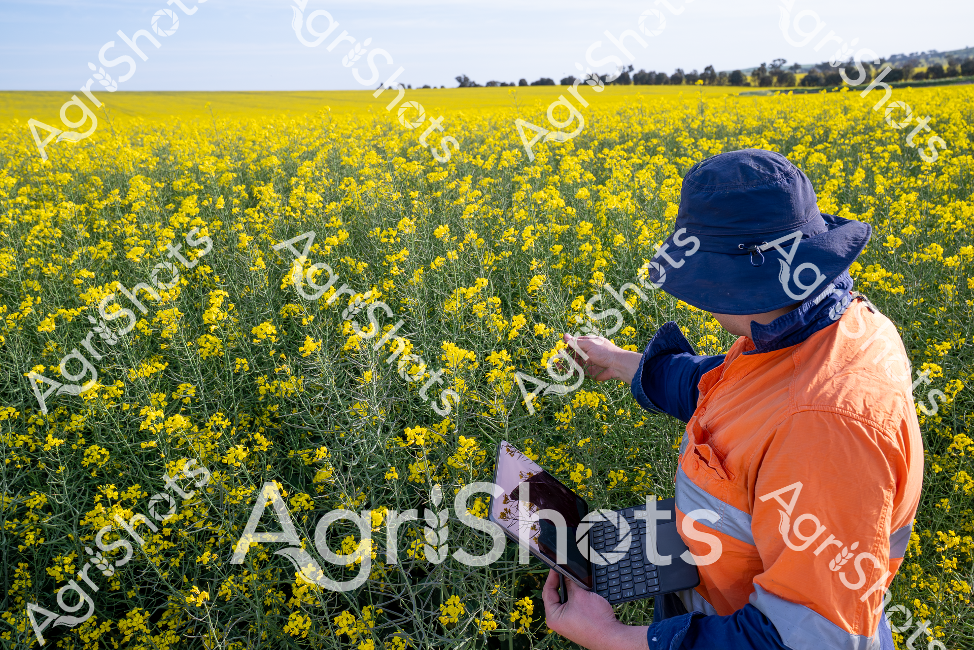 ALMABIN_7391378623_3825893-scaled-watermarked-image-1.png