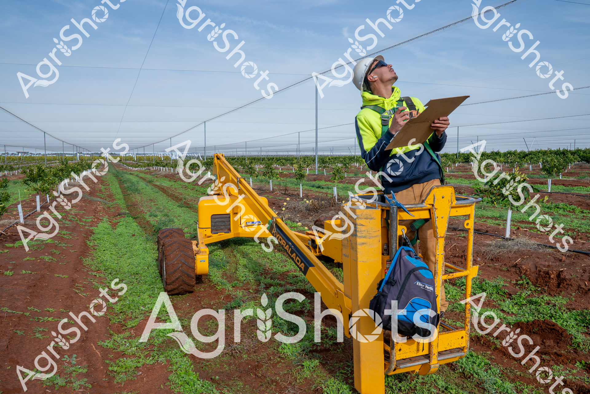Precision Agriculture in Action: A field technician surveys a meticulously planned orchard, perched atop a yellow Gregoire grape harvester against a serene blue sky. Rows of young fruit trees stretch uniformly across rich red soil, supported by an intricate network of overhead wires and irrigation infrastructure. Dressed in high-visibility safety gear - a bright yellow-green jacket and protective hard hat - the worker carefully documents observations on a clipboard, embodying the modern intersection of agricultural science and technological innovation. The vibrant yellow harvesting equipment stands in stark contrast to the verdant green ground cover and emerging crop rows, symbolizing the sophisticated machinery that supports contemporary agricultural practices. Overhead, a grid of support wires creates geometric precision, reflecting the calculated approach of modern farming. This image captures the essence of contemporary agricultural management: data-driven, technologically advanced, and keenly attentive to every nuance of crop development.