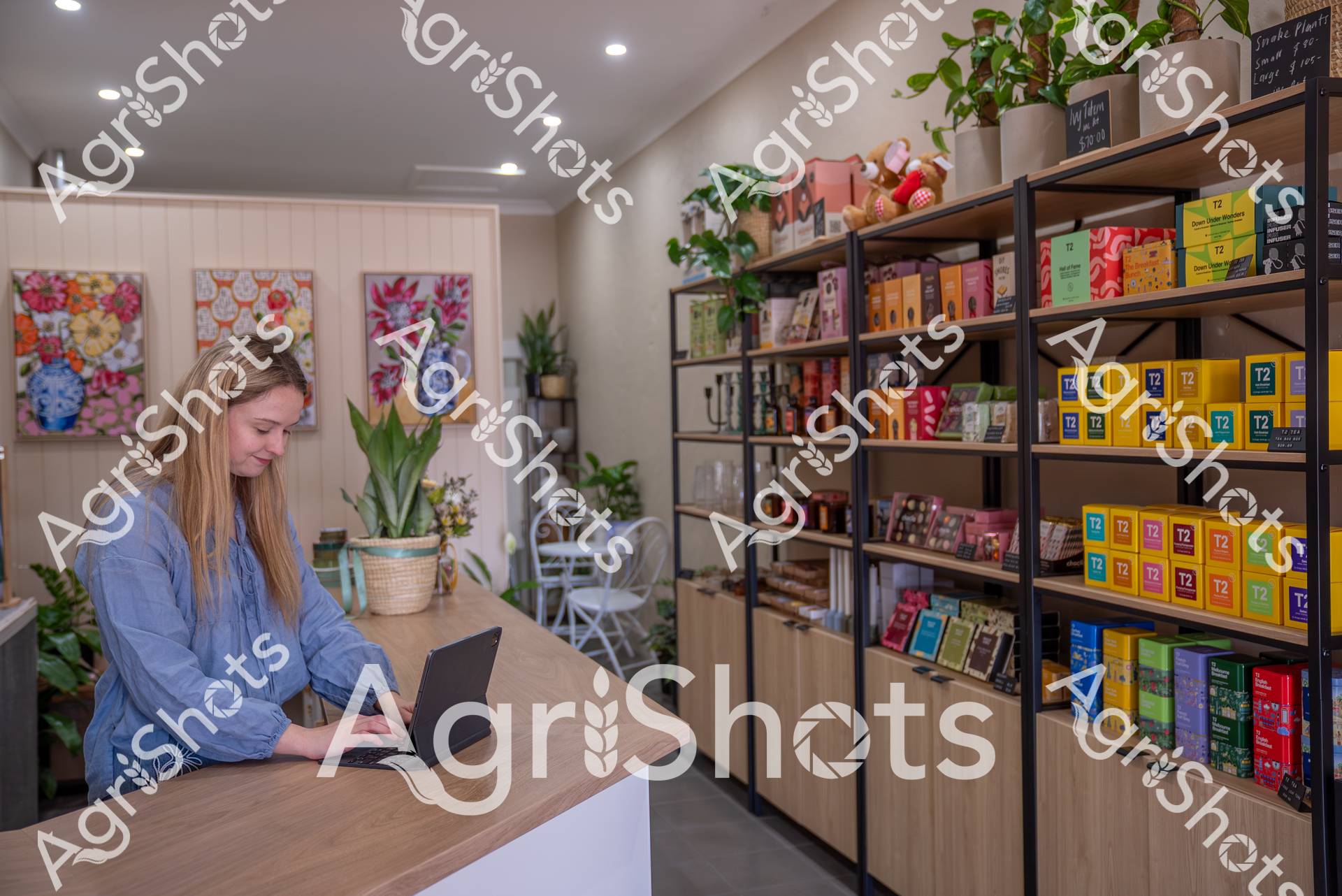 A woman in a blue shirt works on a laptop in a cozy tea shop with colorful shelves filled with tea boxes. The store features vibrant floral artwork on the walls, potted plants, and a modern, inviting interior design with wooden shelving and recessed lighting.