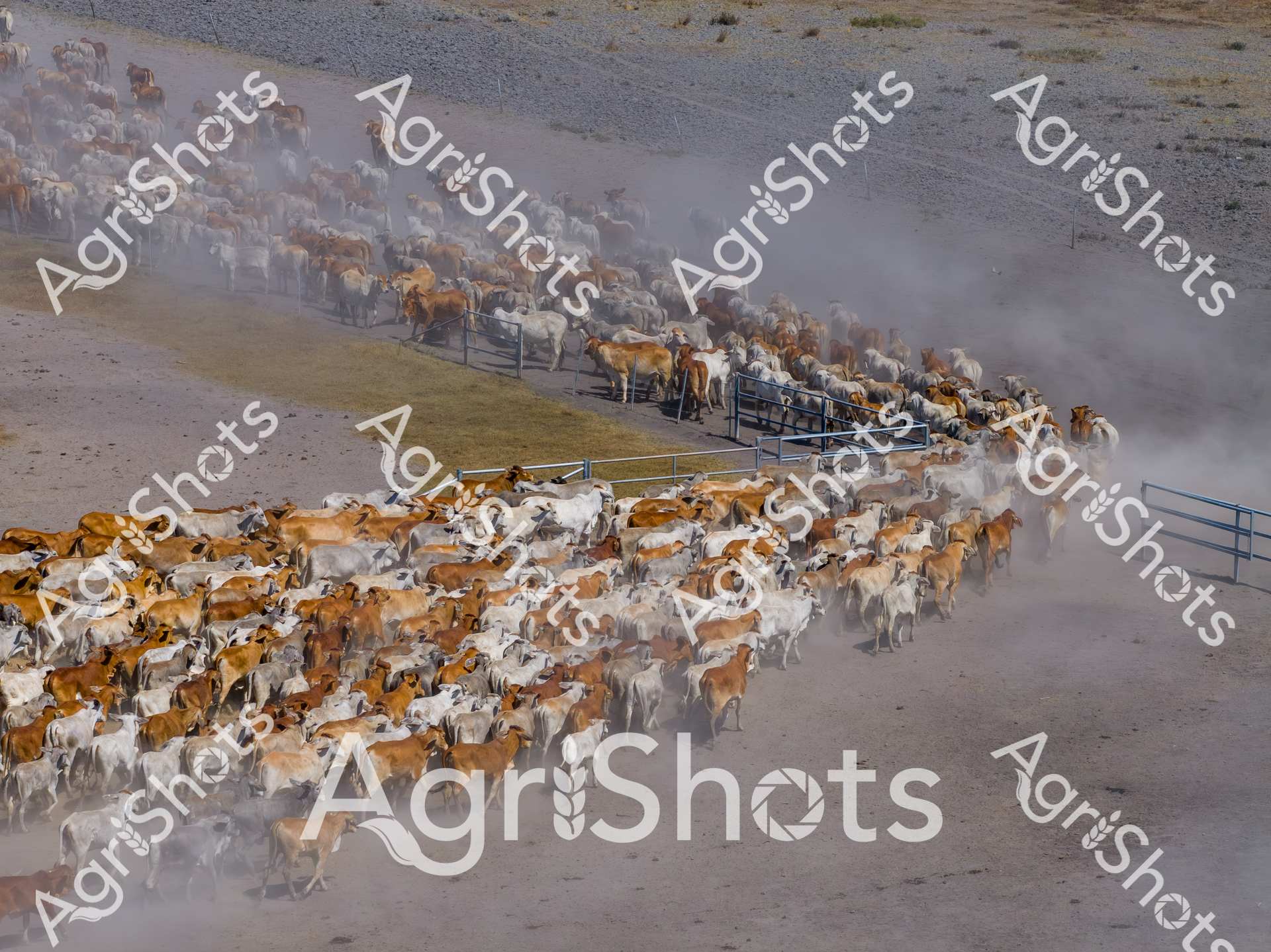 ALMABIN_7717965560_8202786-scaled-watermarked-image-1.png