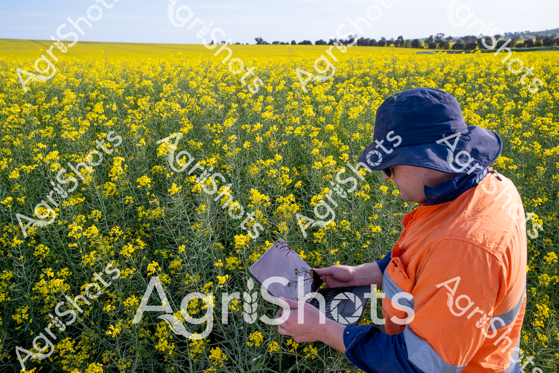 ALMABIN_7835550890_6923658-scaled-watermarked-image-1.png