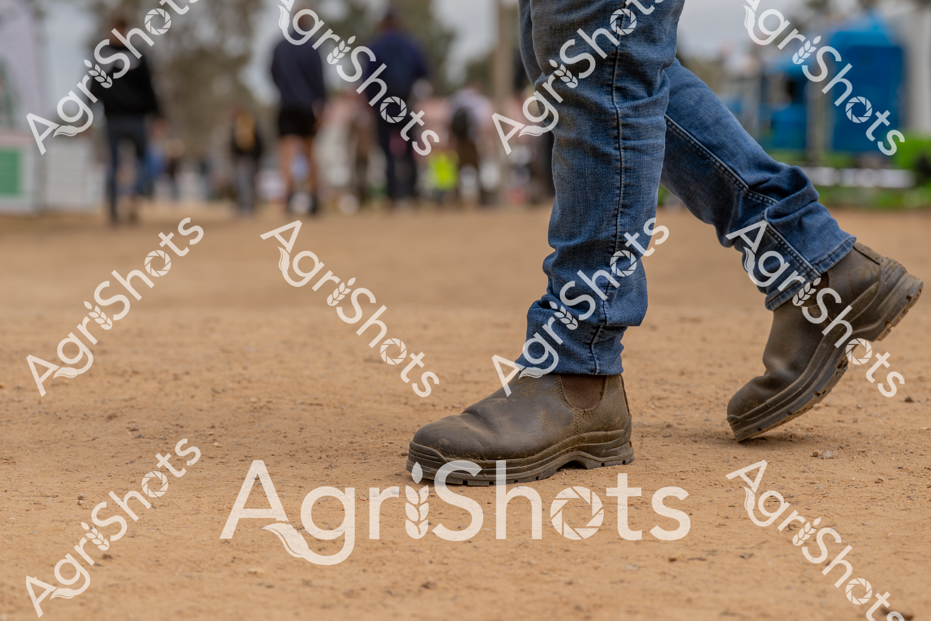 ALMABIN_7880974308_5013915-scaled-watermarked-image-1.png