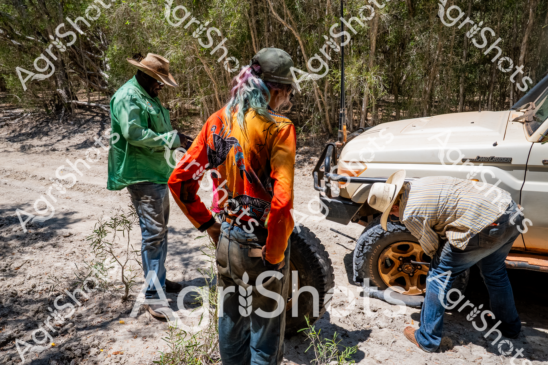 ALMABIN_7952453147_3307559-scaled-watermarked-image-1.png