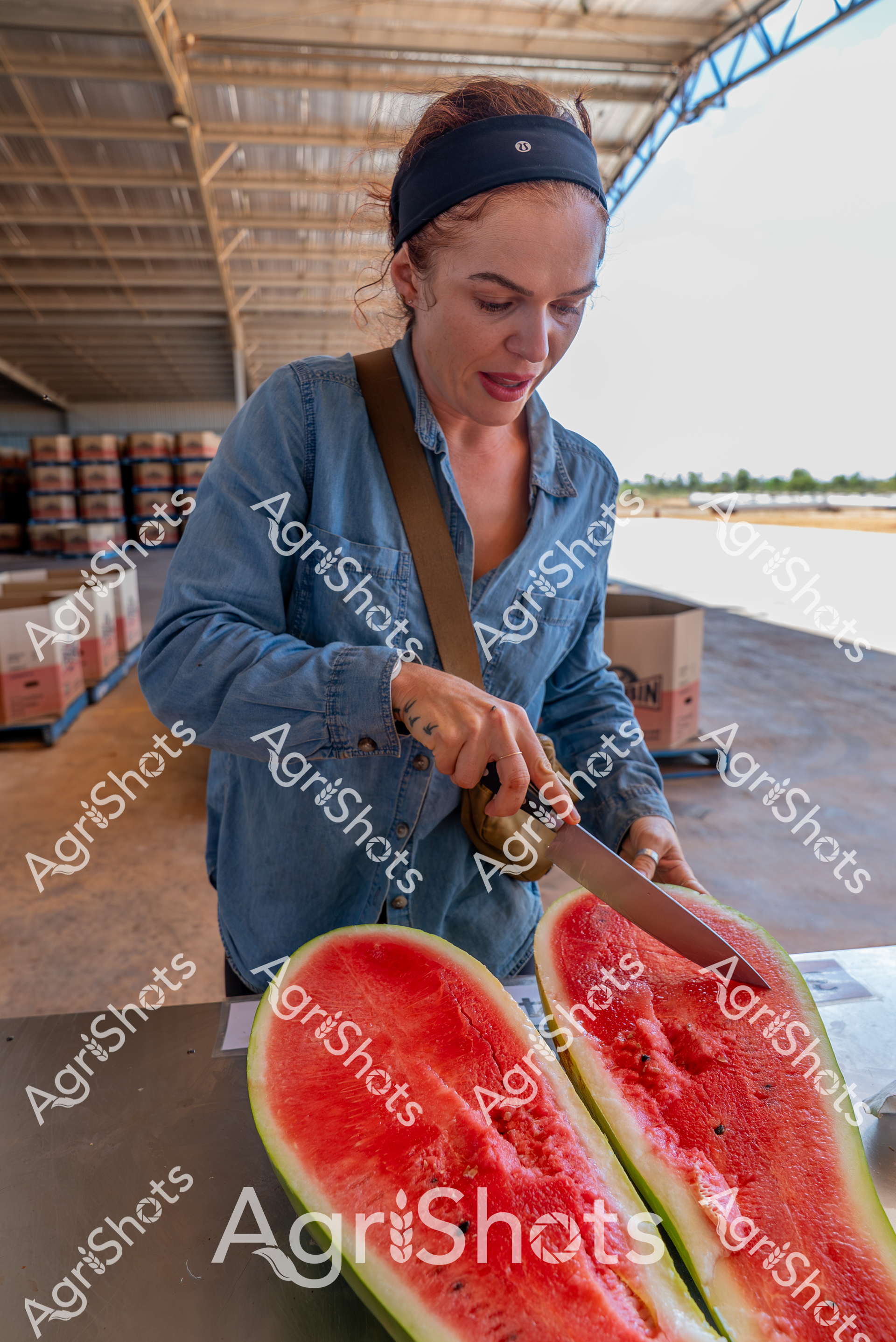 ALMABIN_7991716106_9183114-scaled-watermarked-image-1.png
