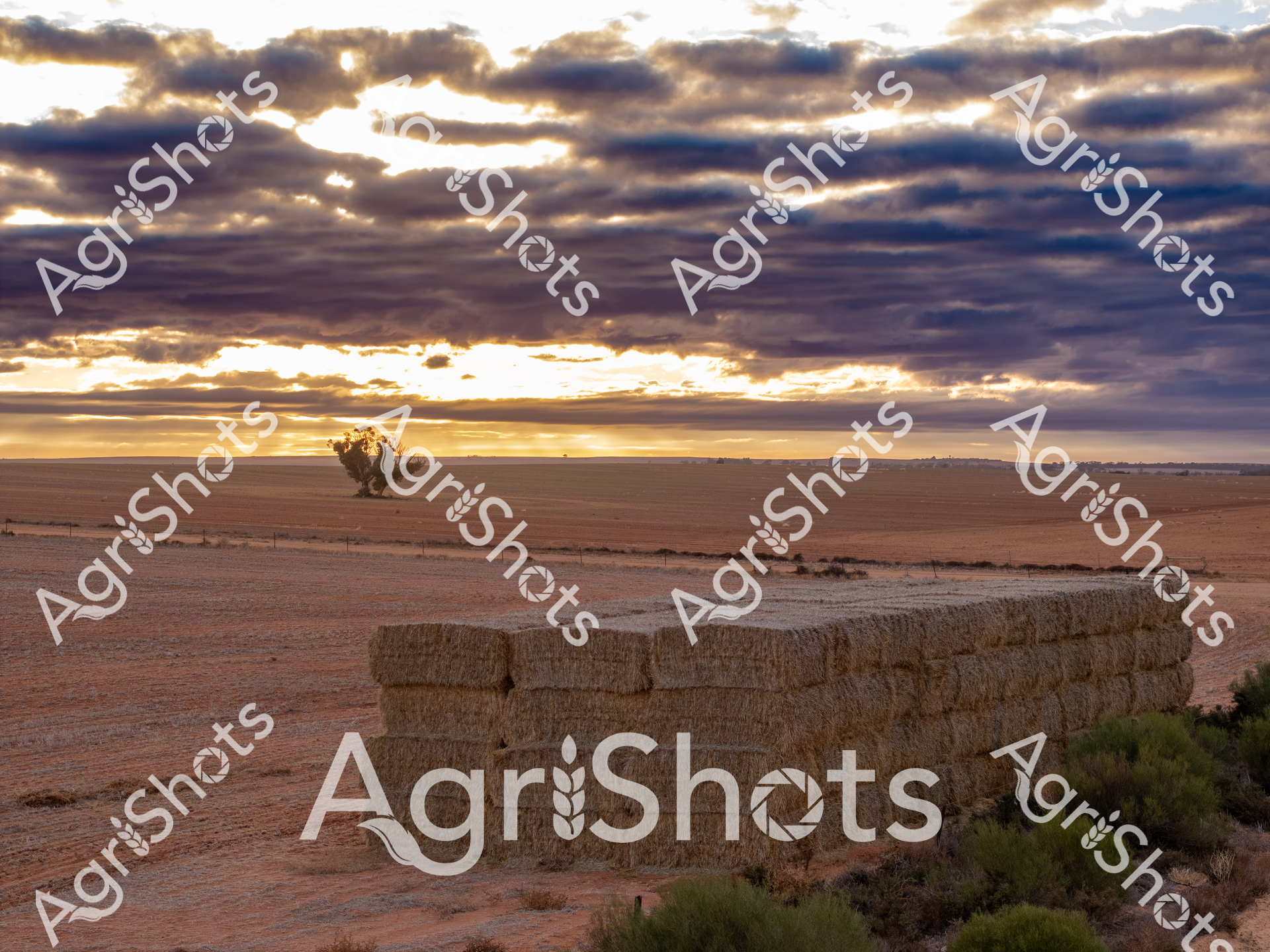 ALMABIN_8016289380_6714357-scaled-watermarked-1.png