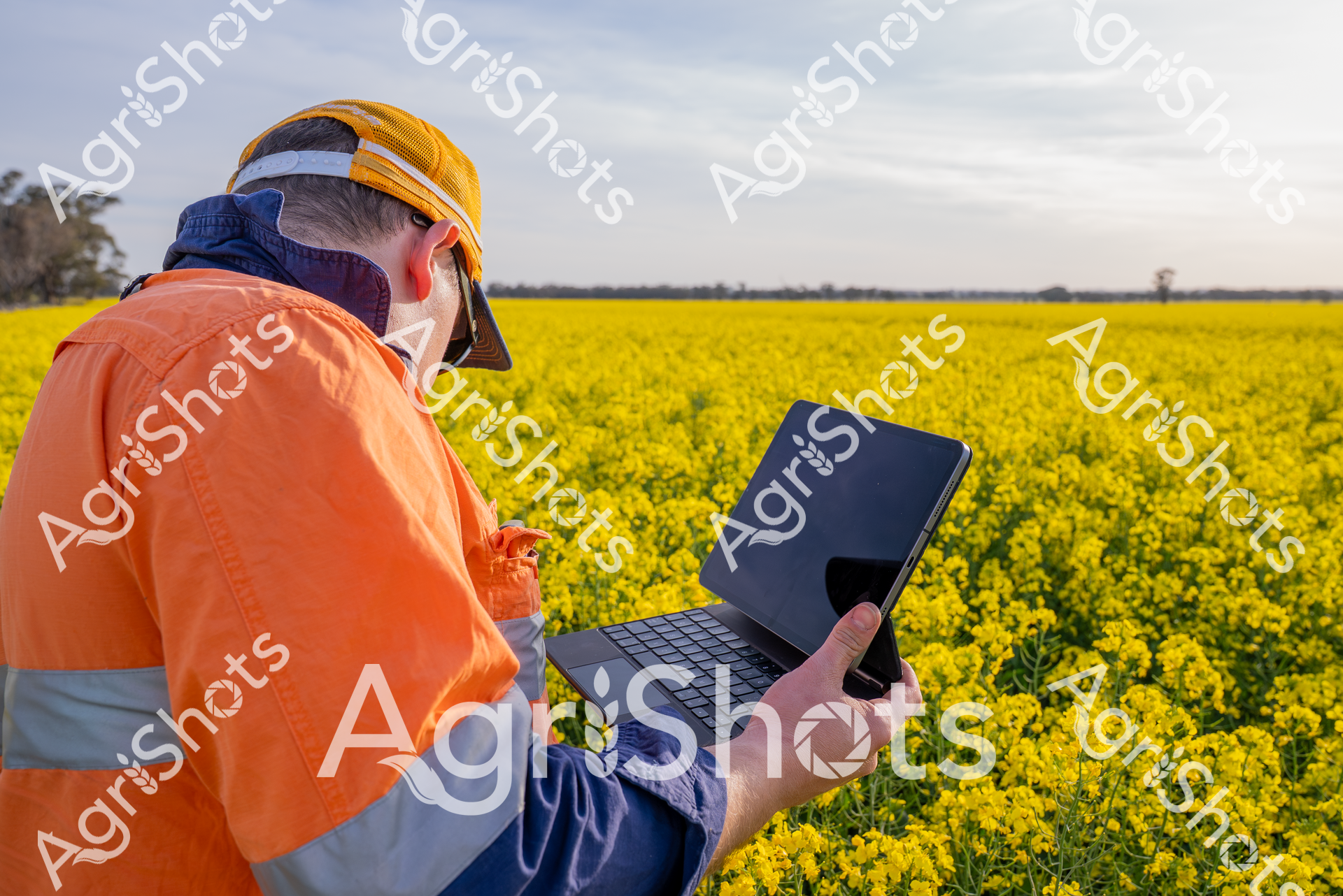 ALMABIN_8181755190_6373807-scaled-watermarked-image-1.png