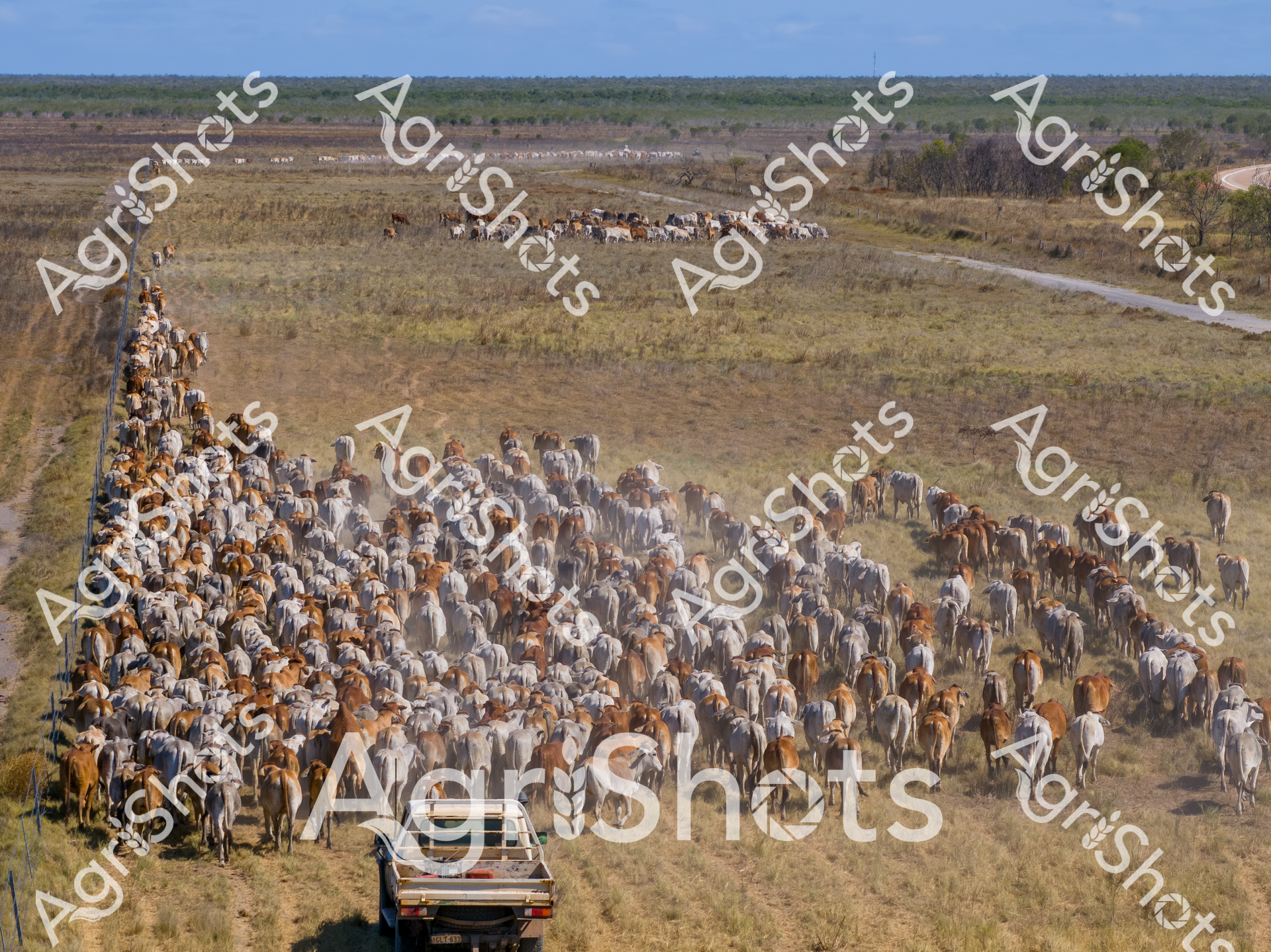 ALMABIN_8241366755_3592918-scaled-watermarked-image-1.png