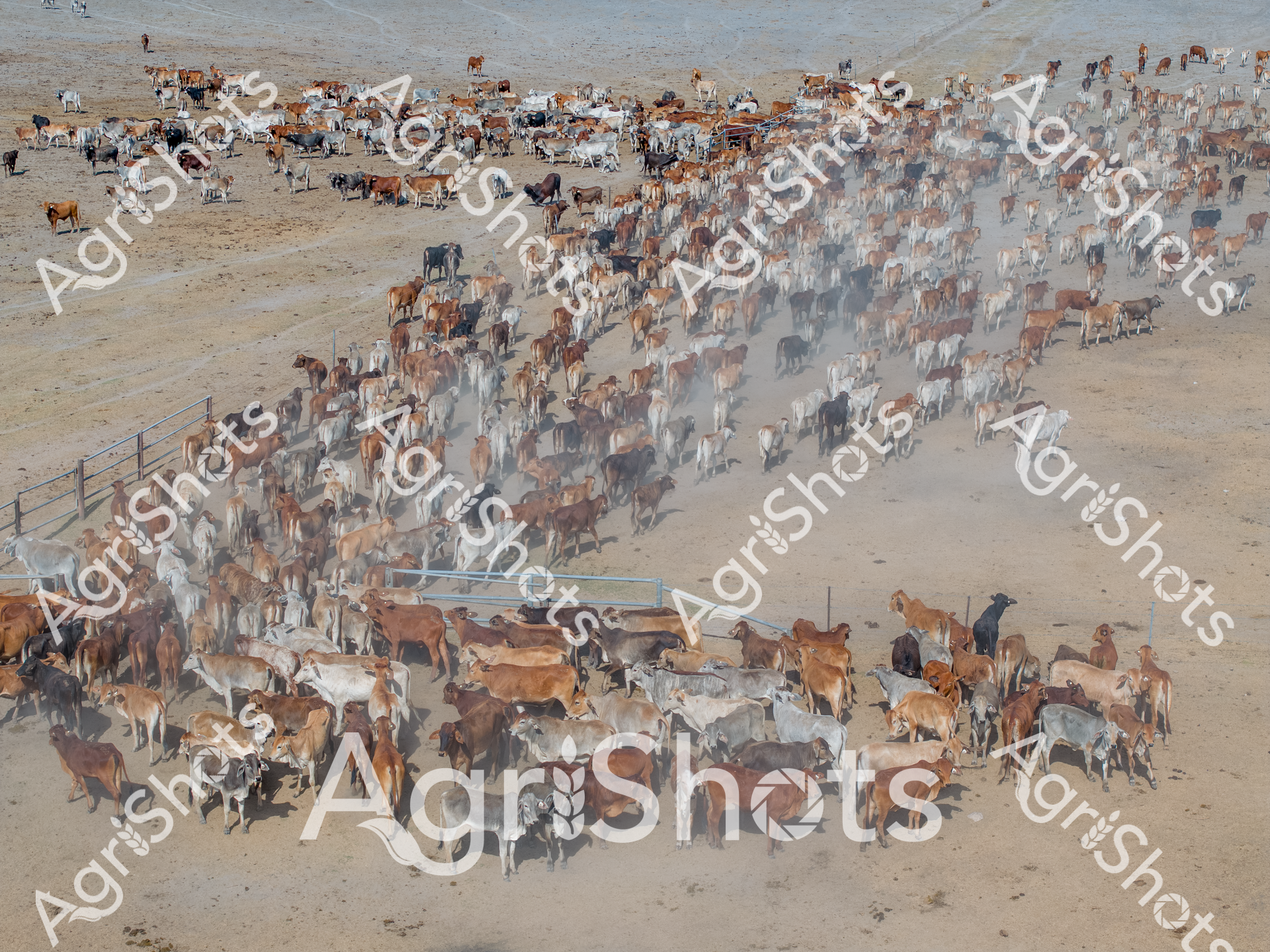 ALMABIN_8241731696_6192864-scaled-watermarked-image-1.png