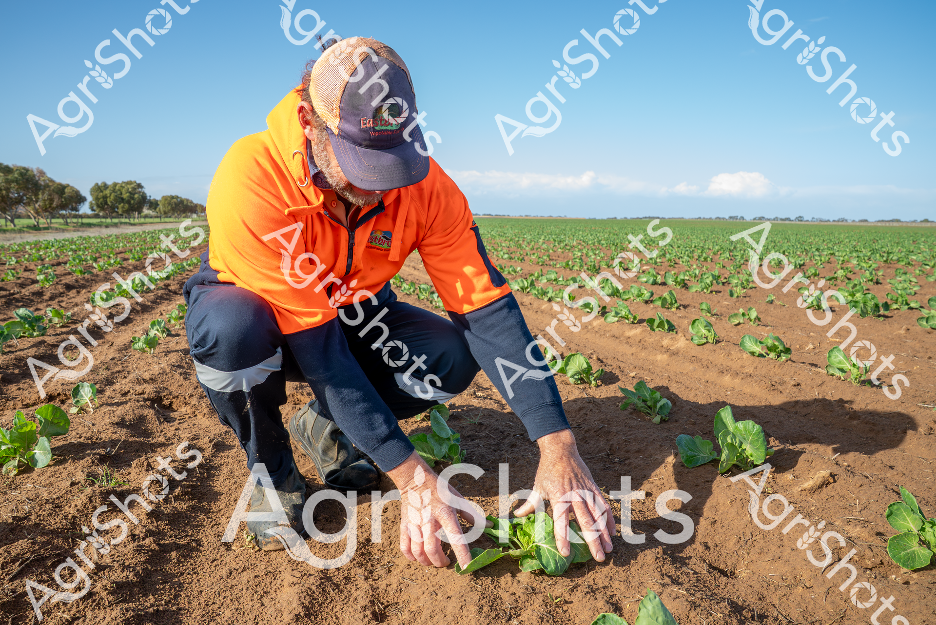 ALMABIN_8247915794_9947987-scaled-watermarked-image-1.png