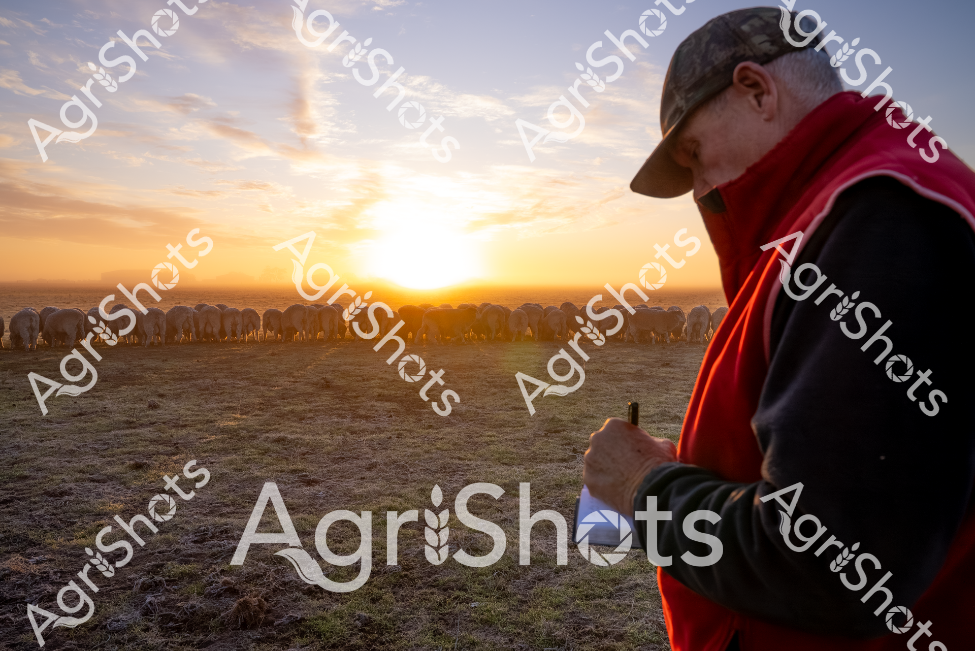 ALMABIN_9030139084_8465124-scaled-watermarked-image-1.png