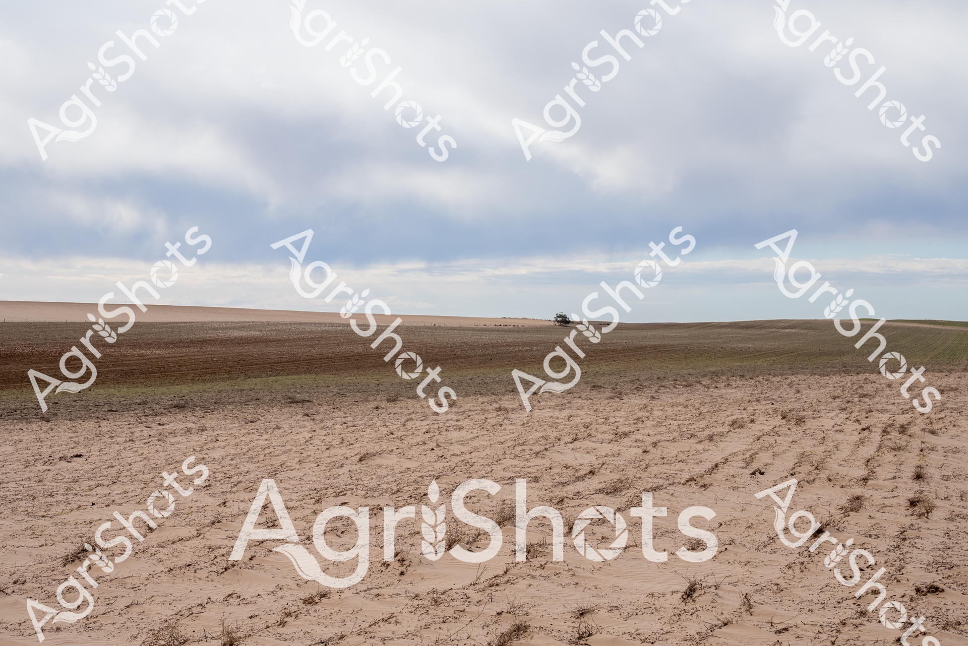 ALMABIN_9332977153_3492469-scaled-watermarked-1.png
