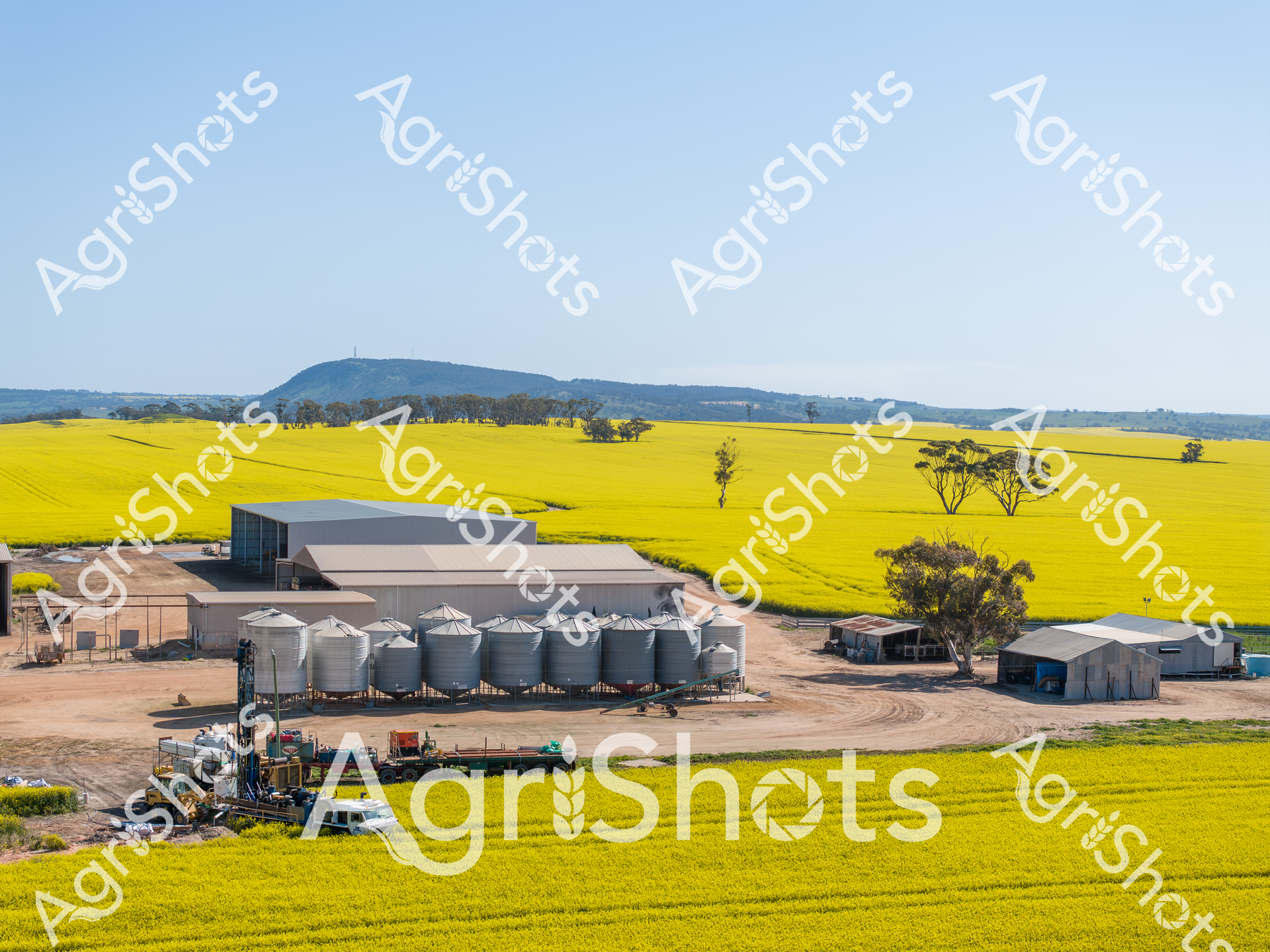 A picturesque agricultural landscape featuring a farming facility with multiple grain silos surrounded by vibrant yellow canola fields. In the background, rolling hills and scattered trees create a serene backdrop, showcasing the expansive farmland and modern agricultural infrastructure under a clear blue sky.