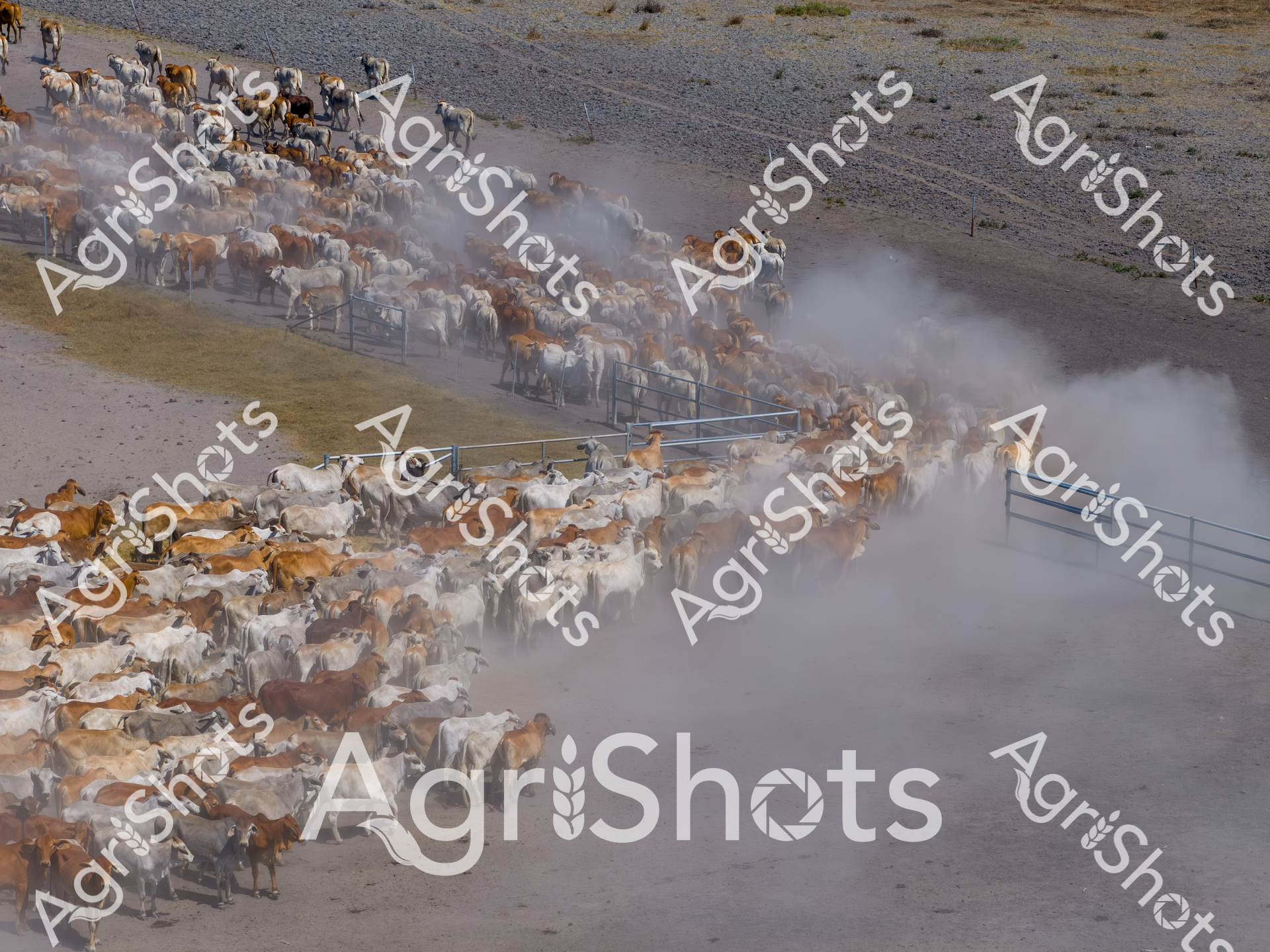 ALMABIN_9440667140_1774560-scaled-watermarked-image-1.png