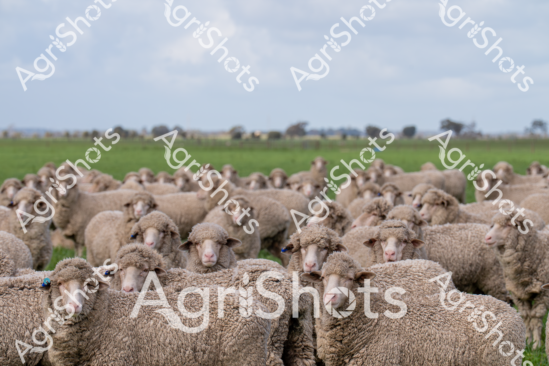 ALMABIN_9448193692_2536825-scaled-watermarked-image-1.png