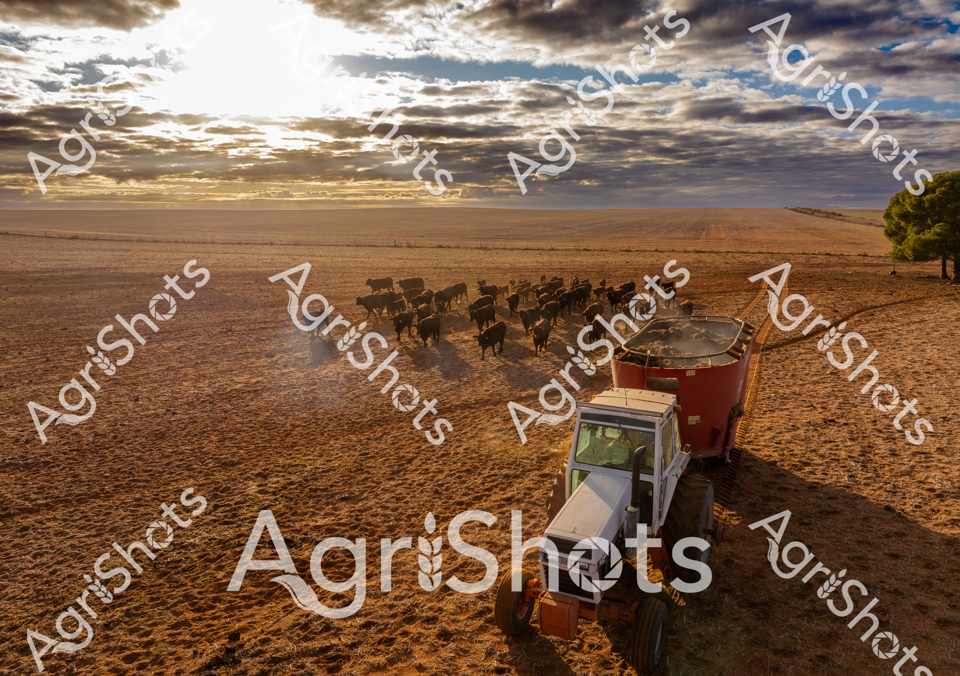 ALMABIN_9451910897_3523925-scaled-watermarked-1.png