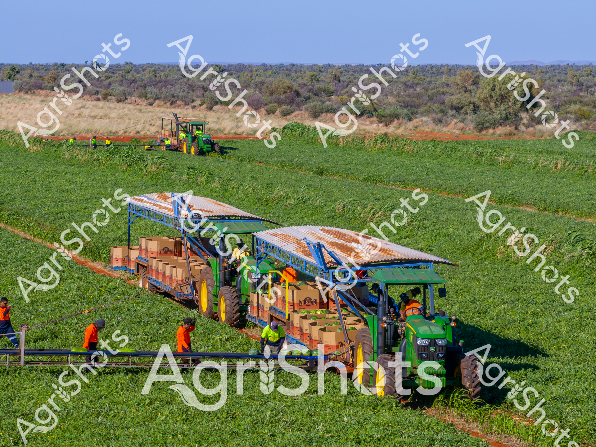 ALMABIN_9575258185_0810360-scaled-watermarked-image-1.png