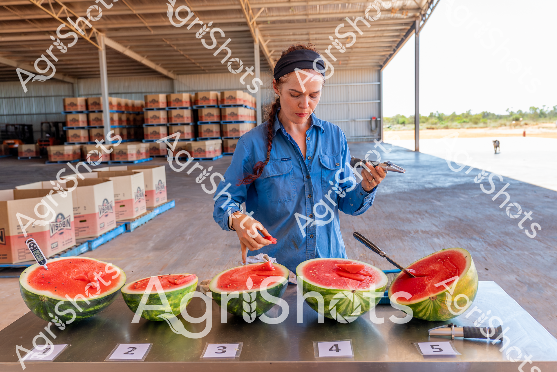 ALMABIN_9576841154_5227374-scaled-watermarked-image-1.png