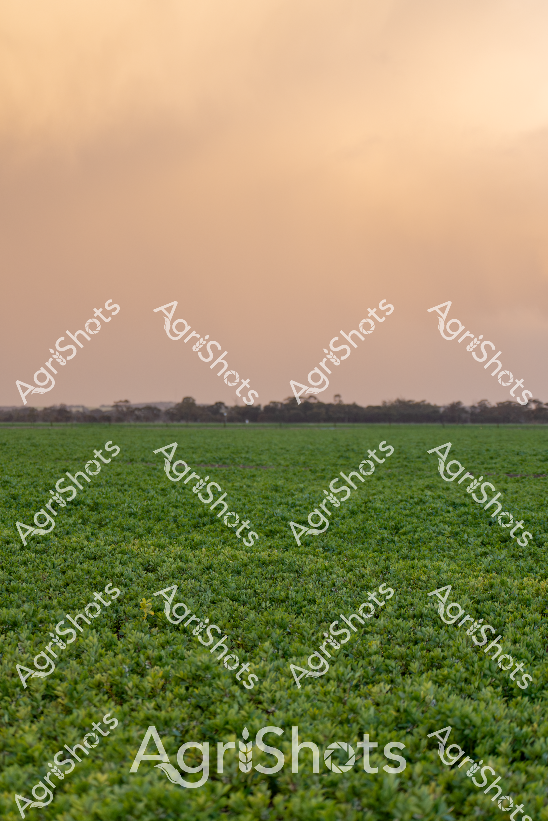 ALMABIN_9661755218_0950923-scaled-watermarked-image-1.png