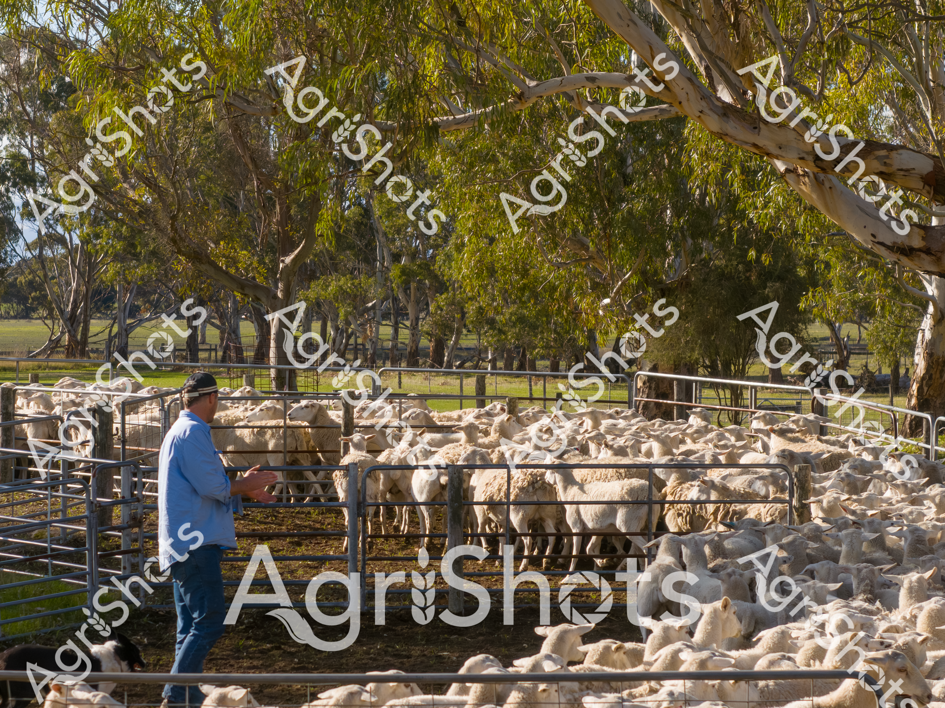 ALMABIN_9876306733_7583954-scaled-watermarked-1.png