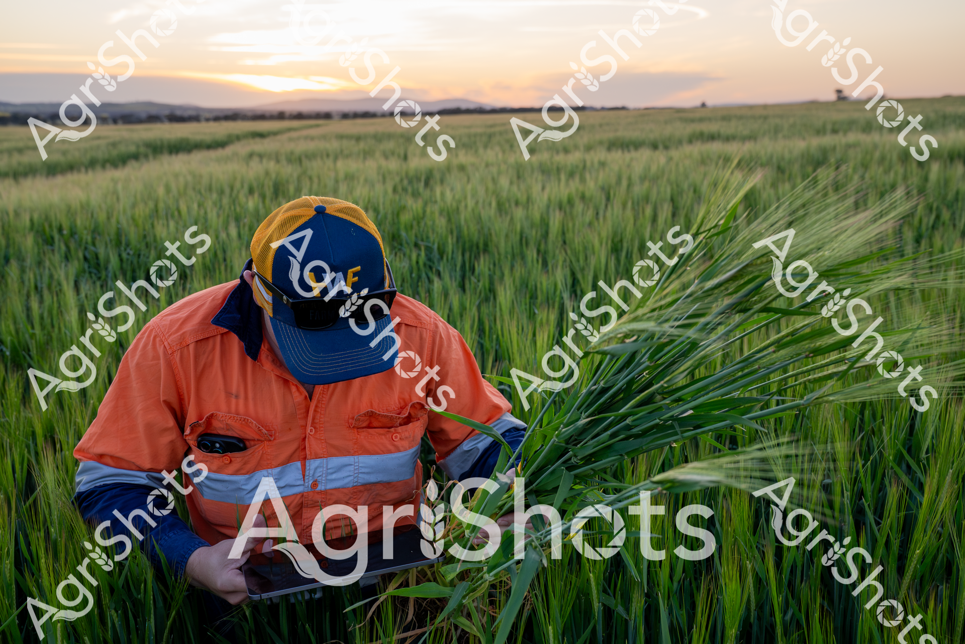 ALMABIN_9879720332_6143165-scaled-watermarked-image-1.png