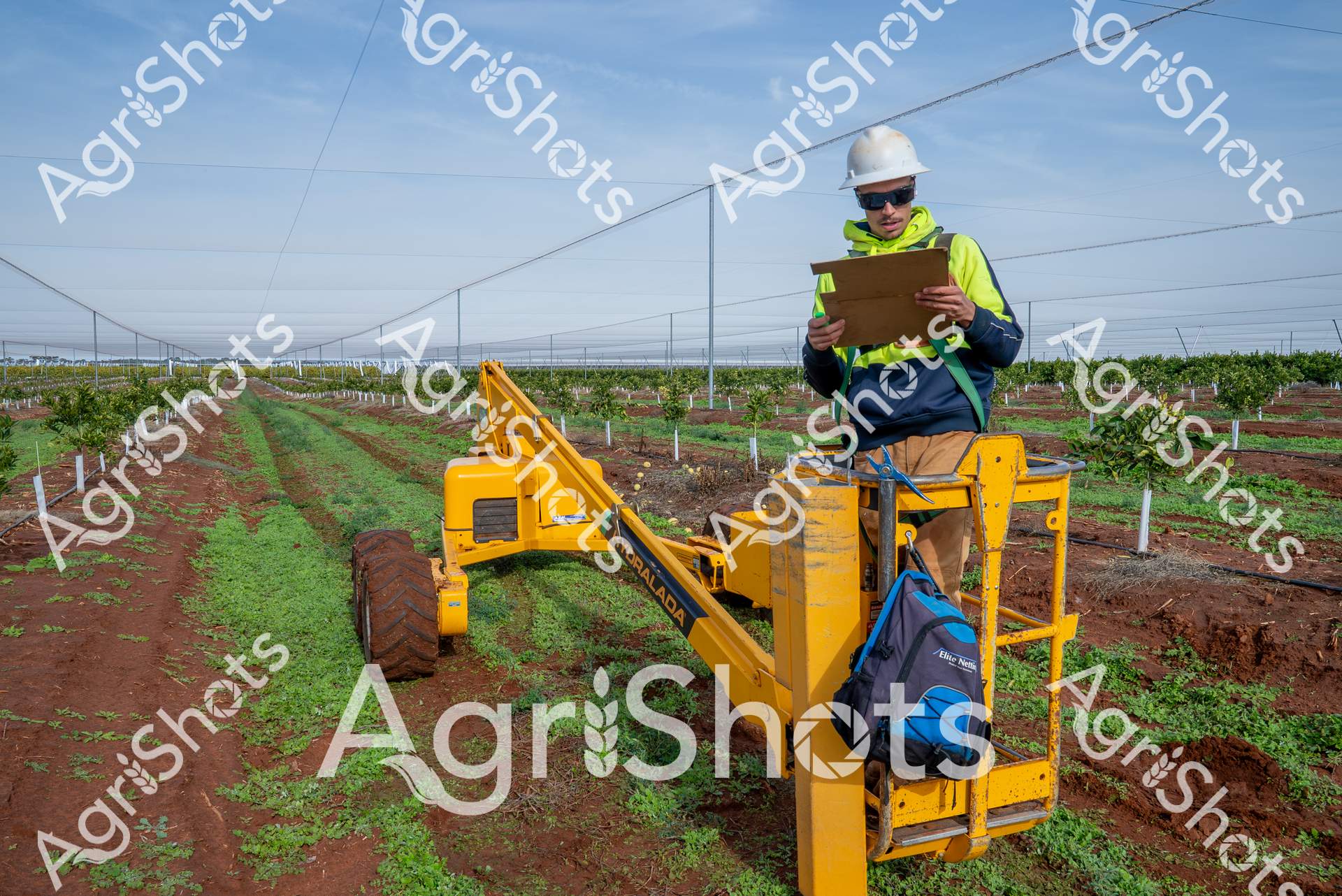 A skilled agricultural technician navigates a yellow boom lift through a meticulously organized orchard, surrounded by young fruit trees and carefully maintained rows. Dressed in high-visibility safety gear - a bright lime-green jacket, navy work pants, white hard hat, and protective sunglasses - the worker intently reviews data on a clipboard while positioned on the elevated platform. The landscape reveals a modern agricultural setting with precise wire trellising supporting rows of newly planted trees, set against a pale blue sky suggesting early morning or late afternoon light. Rich reddish-brown soil contrasts with the vibrant green ground cover between tree rows, highlighting the precision of contemporary agricultural management. The robust Nifty lift equipment, painted in a distinctive yellow, stands out against the verdant landscape, symbolizing the intersection of technological innovation and agricultural productivity. This scene encapsulates modern farming's blend of careful observation, technological support, and systematic land management.