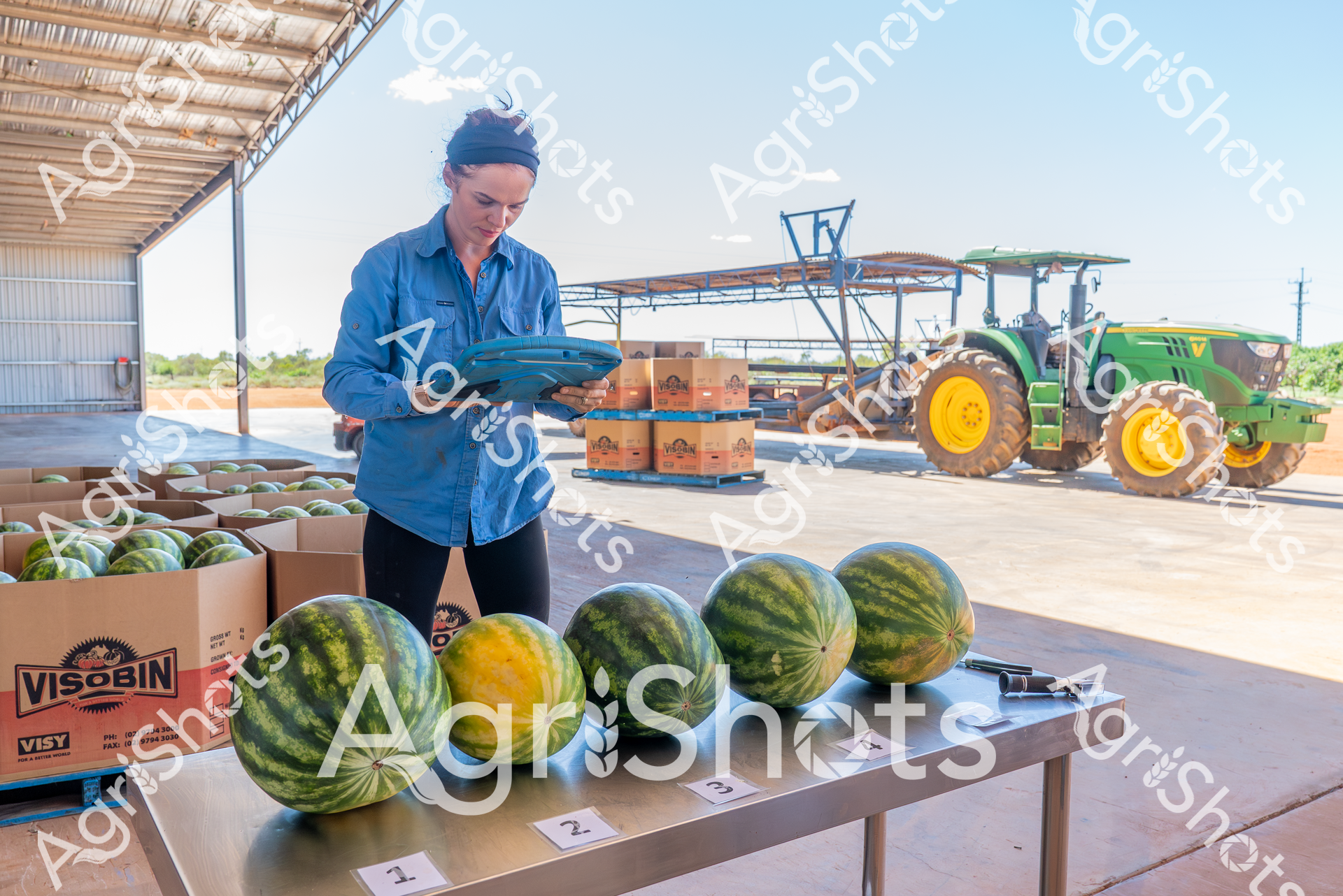 ALMABIN_9975160993_4097512-scaled-watermarked-image-1.png