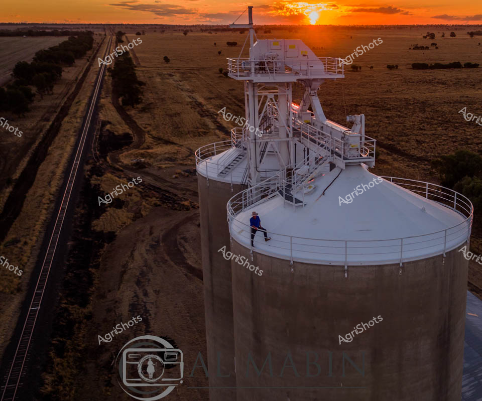 Drenched in the golden hour's radiant embrace, a towering grain silo stands sentinel over the expansive Queensland agricultural landscape. The stark white industrial structure rises dramatically against a blazing orange sunset, casting long shadows across the undulating wheat fields and sparse grasslands. A worker in a vibrant blue uniform navigates the complex metallic infrastructure, moving purposefully along the circular platform with the confidence of someone intimately familiar with the rhythms of rural production. Railway tracks slice a precise line through the terrain, connecting this critical node of agricultural infrastructure to broader networks of commerce and distribution. The scene captures the intersection of human engineering and natural landscape - a testament to Australia's agricultural prowess and the sophisticated systems that transform raw countryside into global commodity. As daylight retreats, the silo represents both a practical tool of harvest and a monumental symbol of rural productivity, silhouetted against the breathtaking chromatic drama of an outback sunset.