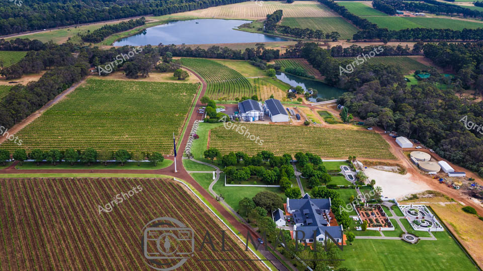 Sweeping vineyards cascade across undulating Margaret River terrain, revealing a meticulously designed agricultural landscape in Western Australia's premium wine region. Geometric rows of vibrant green grapevines stretch across gently sloping fields, their precisely cultivated lines contrasting with the natural woodland edges and a serene blue lake in the background. At the heart of the property, a stunning white winery complex anchors the landscape, accompanied by an elegant homestead with manicured gardens and geometric landscaping that speaks to the sophisticated agricultural practice of the region. Surrounding infrastructure including processing facilities, storage tanks, and carefully maintained access roads highlight the professional scale of this wine production enterprise. The aerial perspective captures the harmonious integration of agricultural productivity and natural beauty, showcasing the Margaret River's reputation for world-class viticulture. Soft golden and green hues of the surrounding farmland suggest late summer or early autumn, the ideal season for grape harvest and wine production.