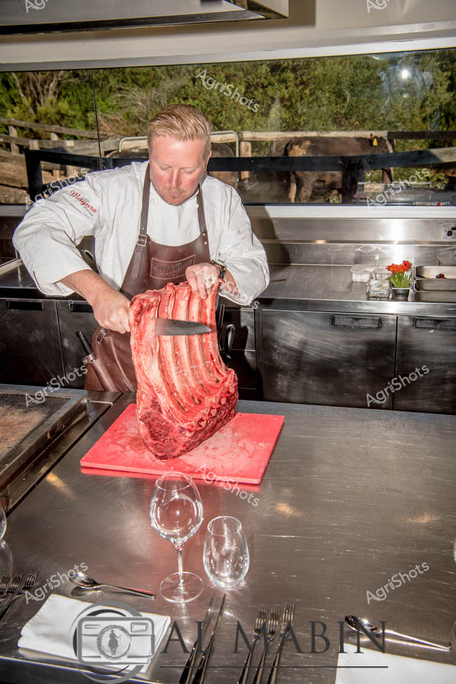 Professional butcher preparing a premium Wagyu beef cut in a sleek, modern commercial kitchen with expansive rural views. Dressed in a crisp white chef's jacket and burgundy leather apron, the skilled artisan carefully trims an impressive rack of deep red, marbled beef on a bright red cutting board. Stainless steel workstations gleam around him, with delicate wine glasses and precision cutlery arranged meticulously in the foreground, suggesting a high-end culinary environment. Natural light streams through large windows, revealing a pastoral landscape of wooden fencing and green vegetation, connecting the refined kitchen space to its agricultural origins. The scene captures the meticulous craft of transforming premium livestock into exceptional culinary experiences, highlighting the precision and care involved in South Australian beef production. Every element speaks to quality - from the pristine chef's attire to the exceptional meat cut, representing the pinnacle of Australian agricultural excellence and gastronomic expertise.