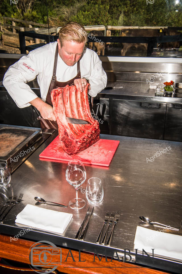 Expert butchery unfolds in an elegant restaurant kitchen, showcasing premium Wagyu beef preparation. A professional chef in crisp white jacket and brown leather apron carefully handles a vibrant red, marbled prime cut of meat on a bright red cutting board. Precision stainless steel surfaces, delicate wine glasses, and pristine white linen hint at a high-end dining experience focused on exceptional meat quality. The carefully trimmed beef, likely from Mayura Station's renowned South Australian Wagyu herd, displays extraordinary intramuscular fat marbling – a hallmark of premium beef genetics and meticulous animal husbandry. Soft background lighting and glimpses of greenery suggest an intimate, carefully curated culinary environment dedicated to showcasing Australia's world-class beef production. Every element speaks to the sophisticated journey from pasture to plate, highlighting the agricultural excellence and culinary craftsmanship inherent in premium beef production.