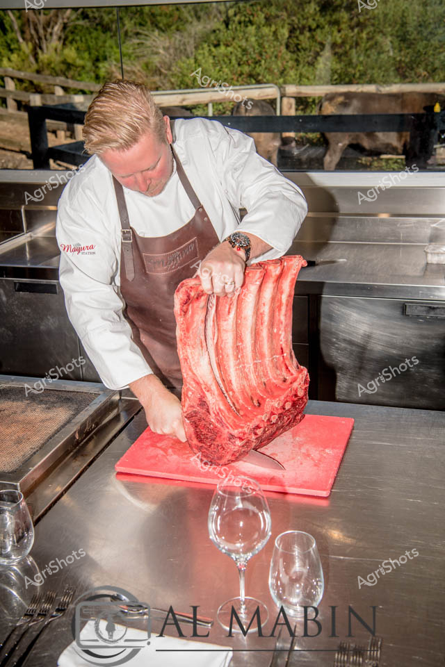 A skilled chef in a crisp white jacket and brown apron carefully handles a prime cut of rich, marbled Wagyu beef at Mayura Station in South Australia. The deep crimson meat rests on a bright red cutting board, surrounded by gleaming stainless steel kitchen surfaces and delicate wine glasses, suggesting a high-end culinary preparation. Framed by an outdoor setting with wooden fencing and verdant greenery in the background, the scene captures the precision and artistry of premium beef production and preparation. The chef's focused posture and expert handling highlight the meticulous craft of transforming exceptional livestock into world-class cuisine. Soft natural light emphasizes the luxurious texture and color of the beef, connecting the agricultural origins of the product with its final gourmet presentation. This image exemplifies the sophisticated journey from South Australian cattle farm to refined dining experience, showcasing the state's renowned Wagyu beef production.