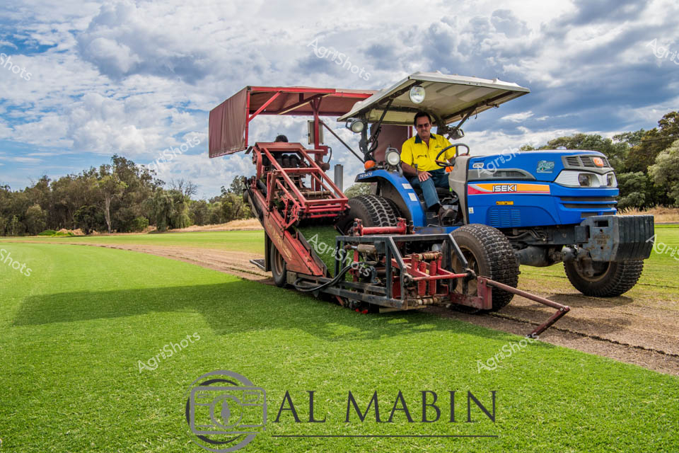 The captures the precision of modern turf management with this striking agricultural scene. A vibrant blue Iseki tractor stands alongside a specialized red turf-cutting machine, positioned on a pristine green grass field with scattered trees and an expansive cloudy sky in the background. The operator, dressed in a high-visibility yellow safety shirt, sits confidently on the tractor, representing the professional approach to landscape maintenance. The sophisticated machinery suggests advanced agricultural technology, with the turf cutter's intricate mechanical design contrasting against the smooth green surface of the carefully maintained field. Dramatic cloud formations provide a dynamic backdrop, highlighting the intersection of technical skill and natural environments typical of Western Australian agricultural landscapes. The image speaks to the meticulous care and specialized equipment required in professional turf and landscaping industries, showcasing both the machinery's technical complexity and the skill of the operator.