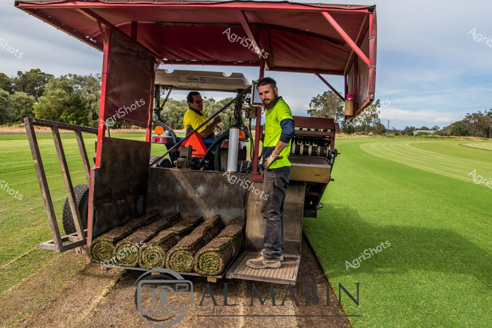 Two agricultural workers operate an Iseki turf cutting machine on a pristine green sports field in Western Australia. A man in a high-visibility yellow and navy safety vest stands on the machine's platform while another worker operates the equipment from the driver's seat. The specialized machinery is actively cutting and rolling strips of turf, with several neat rolls visible on the loading platform. The manicured field stretches across the landscape under partly cloudy skies, showcasing the precision turf harvesting operations typical of commercial turf farms in WA.